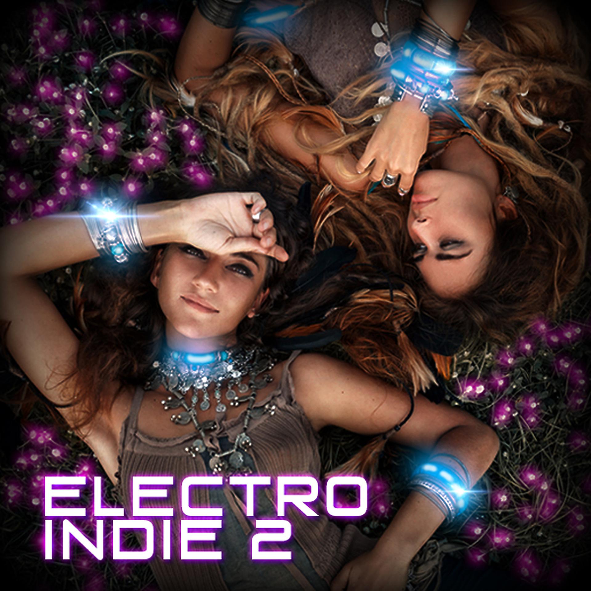 Постер альбома Electro Indie 2
