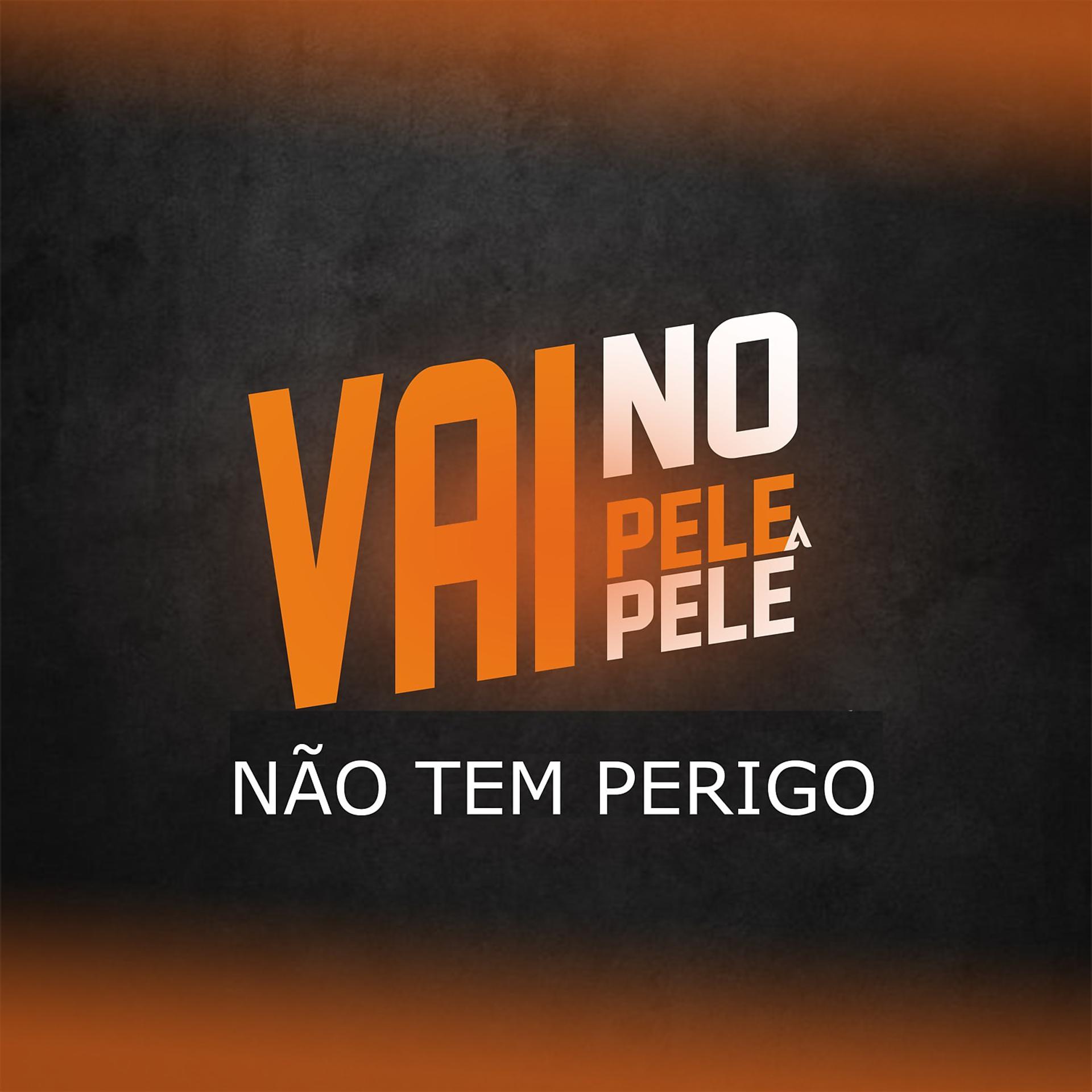 Постер альбома Vai No Pele A Pele - Não Tem Perigo