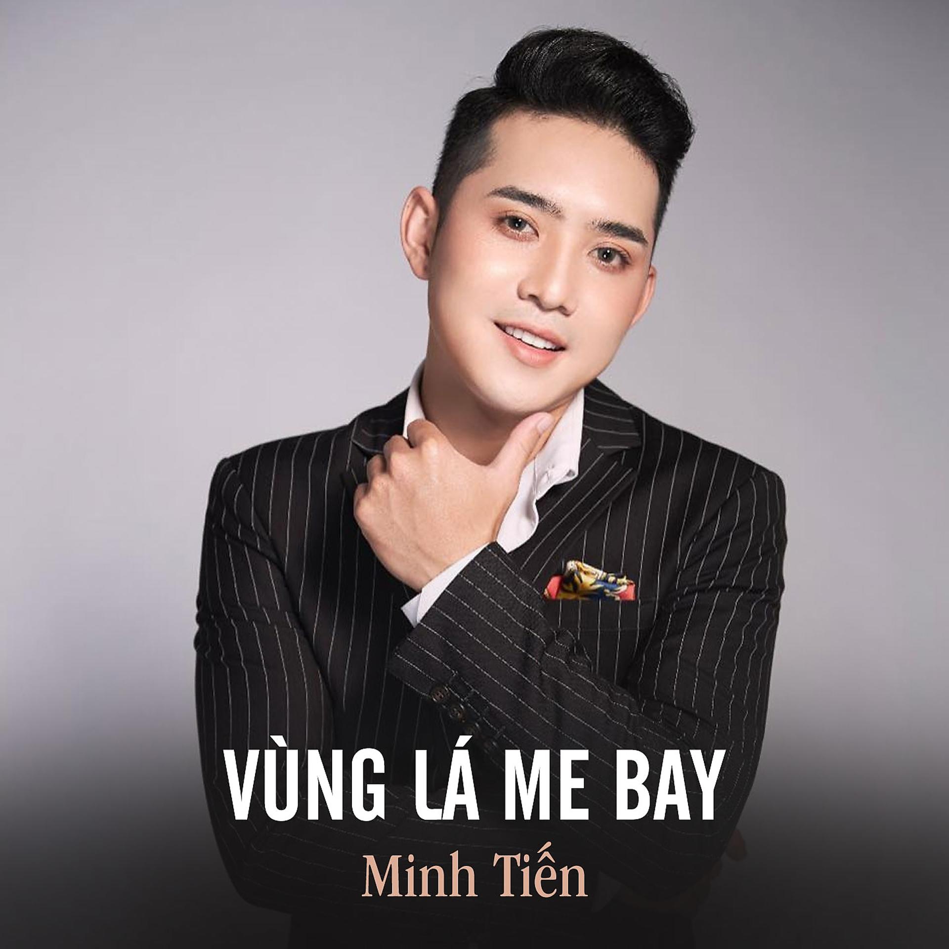 Постер альбома Vùng Lá Me Bay