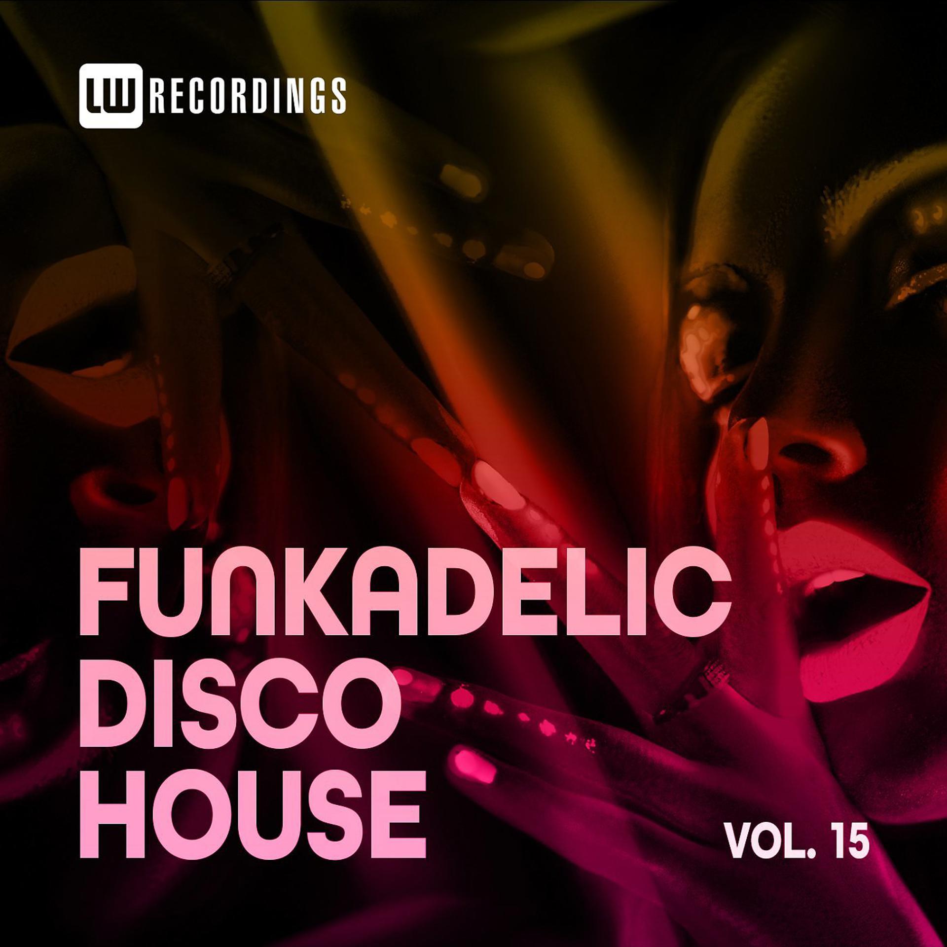 Постер альбома Funkadelic Disco House, 15