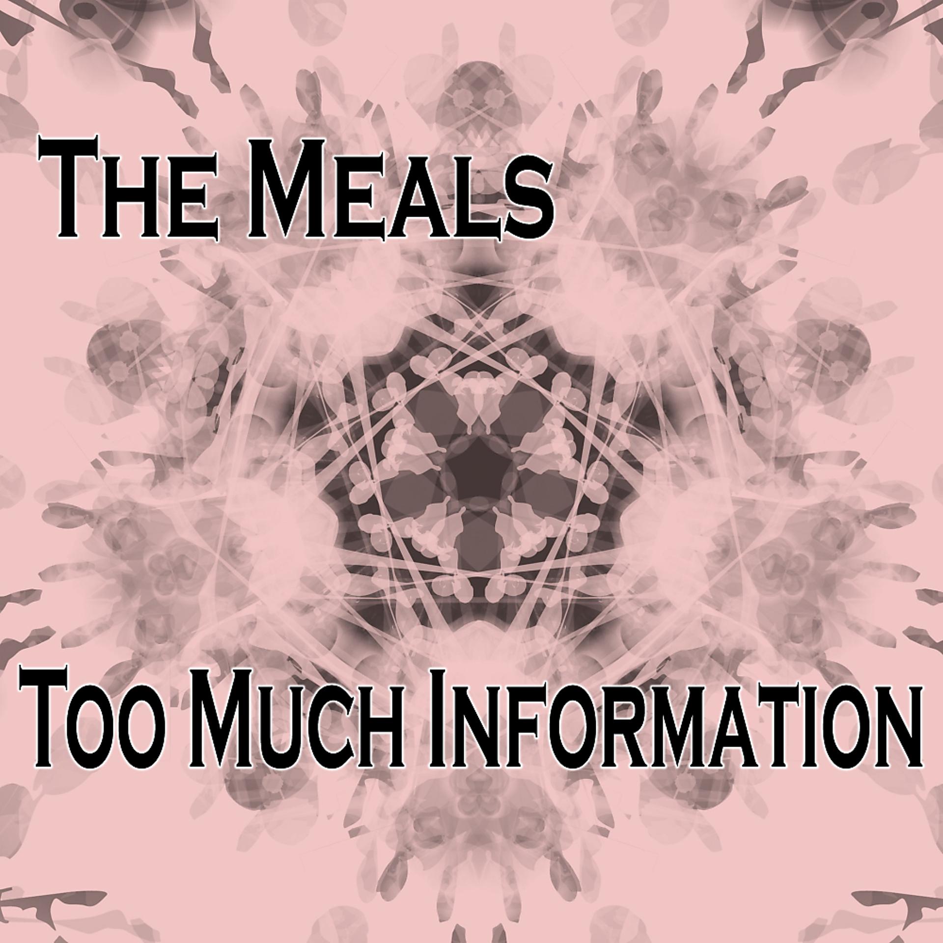 Постер альбома Too Much Information