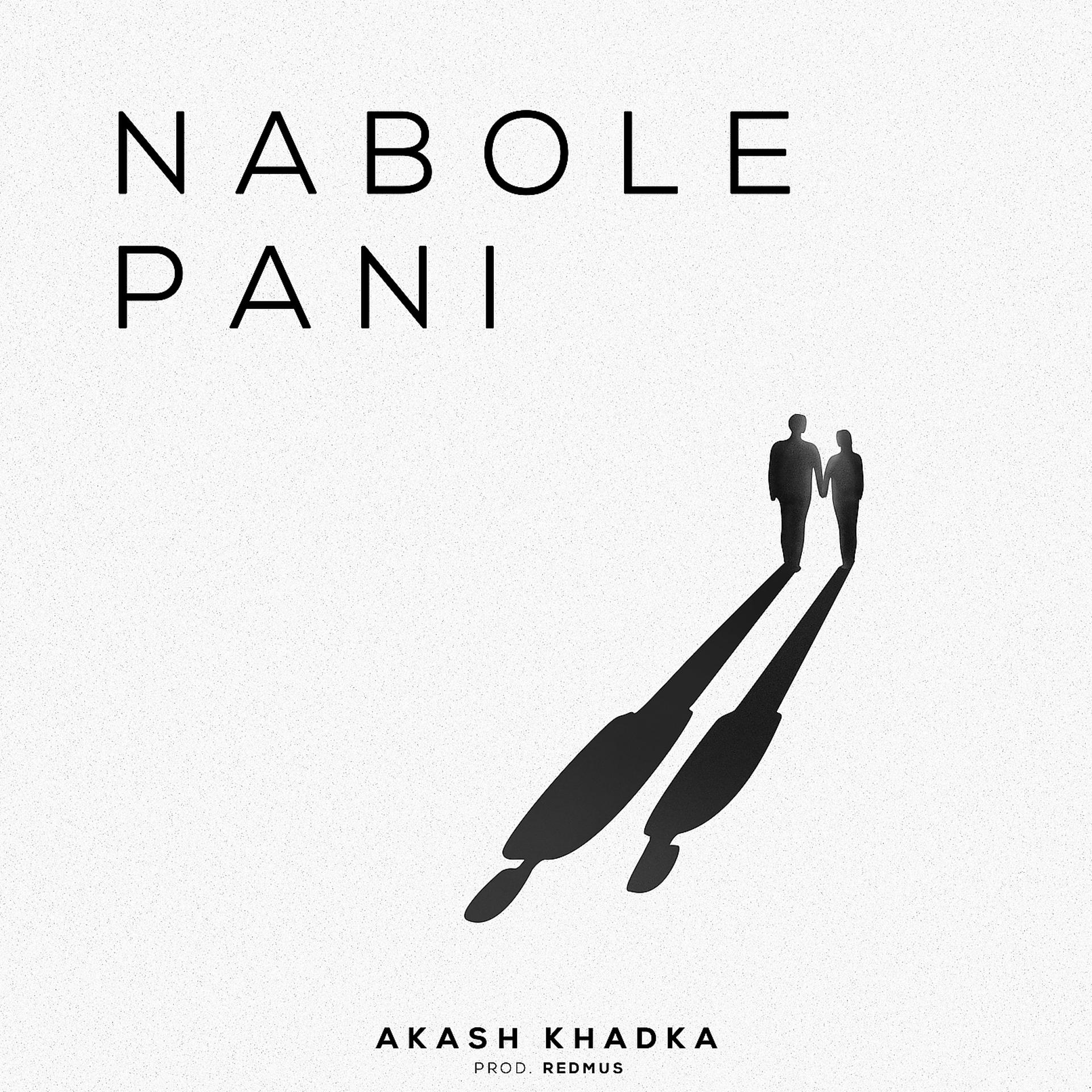 Постер альбома Nabole Pani