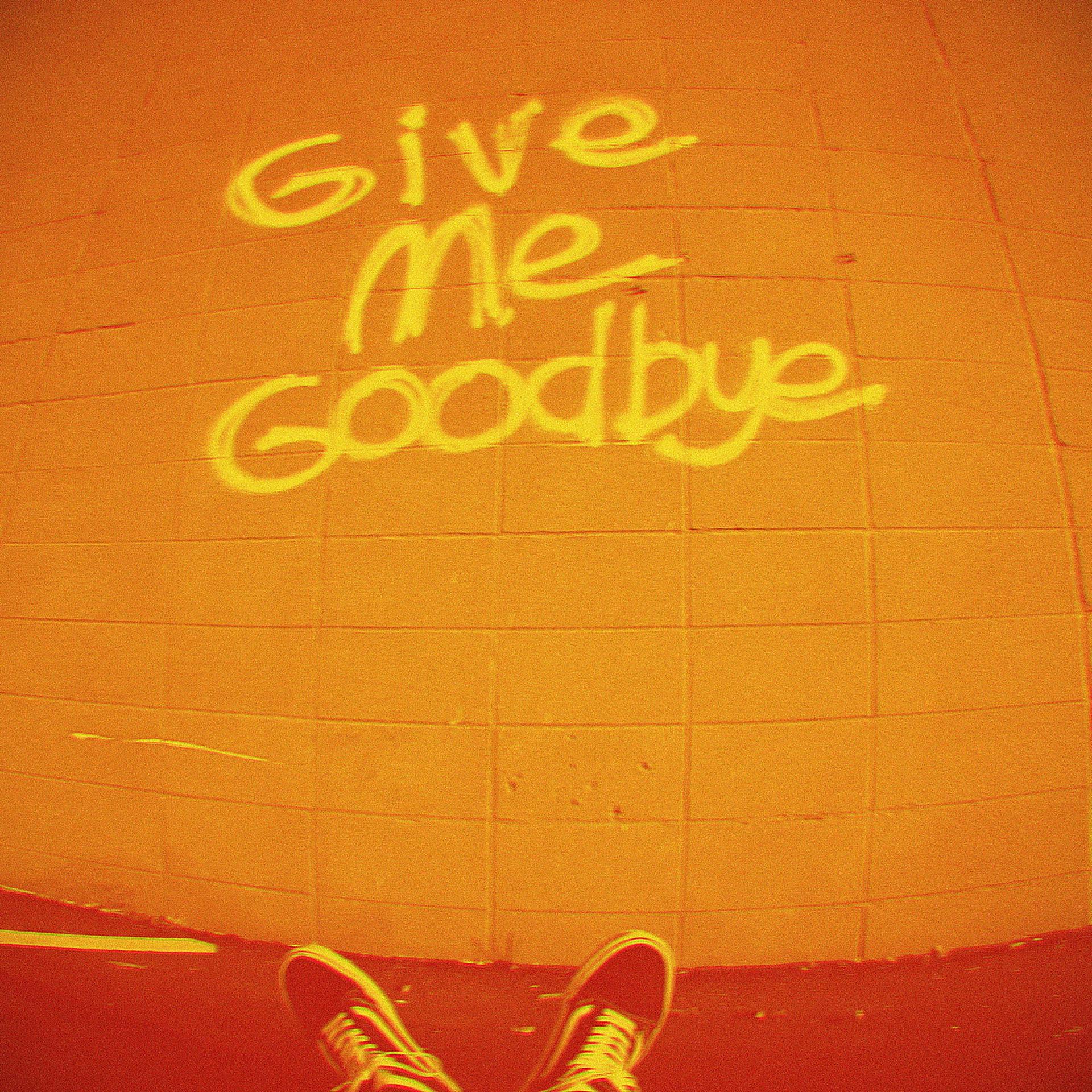 Постер альбома Give Me Goodbye