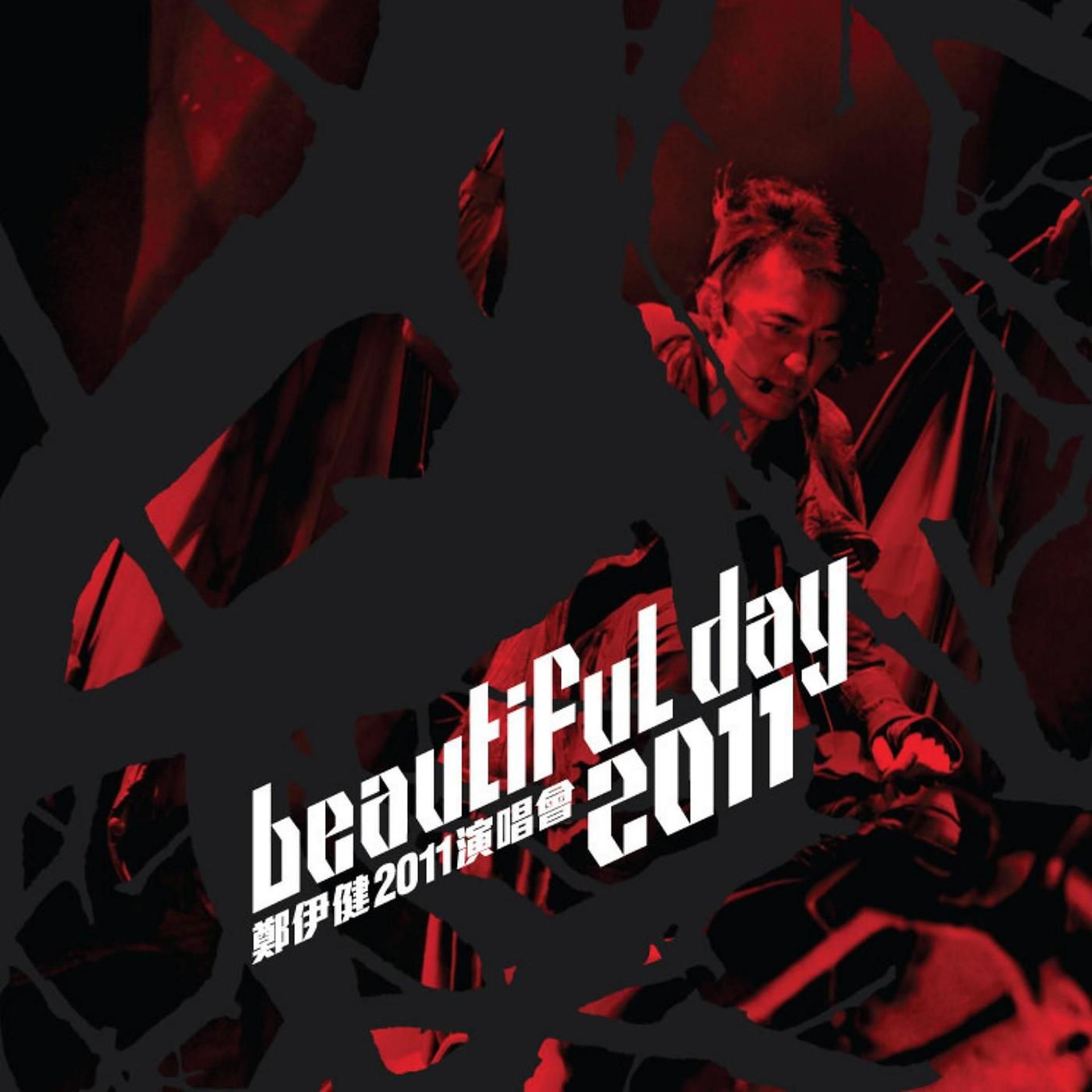 Постер альбома Beautiful Day 2011 Concert