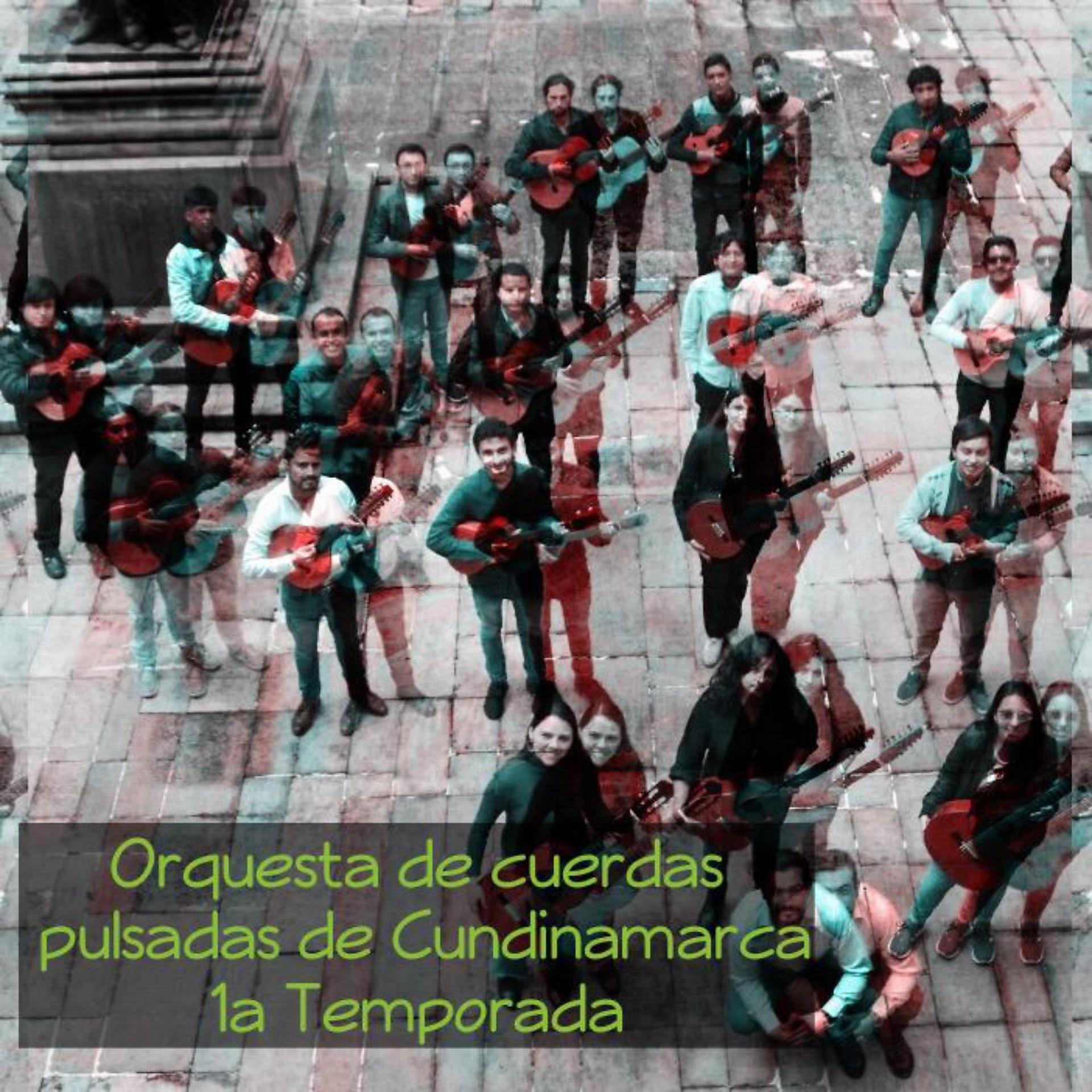 Постер альбома Orquesta de Cuerdas Pulsadas de Cundinamarca - 1a Temporada
