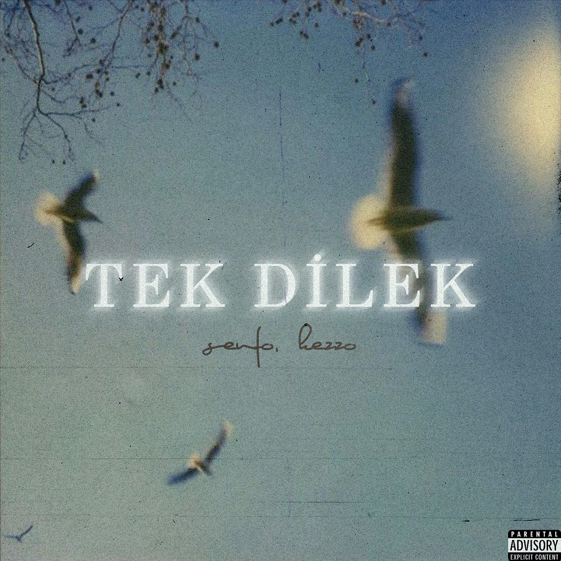 Постер альбома Tek Dilek