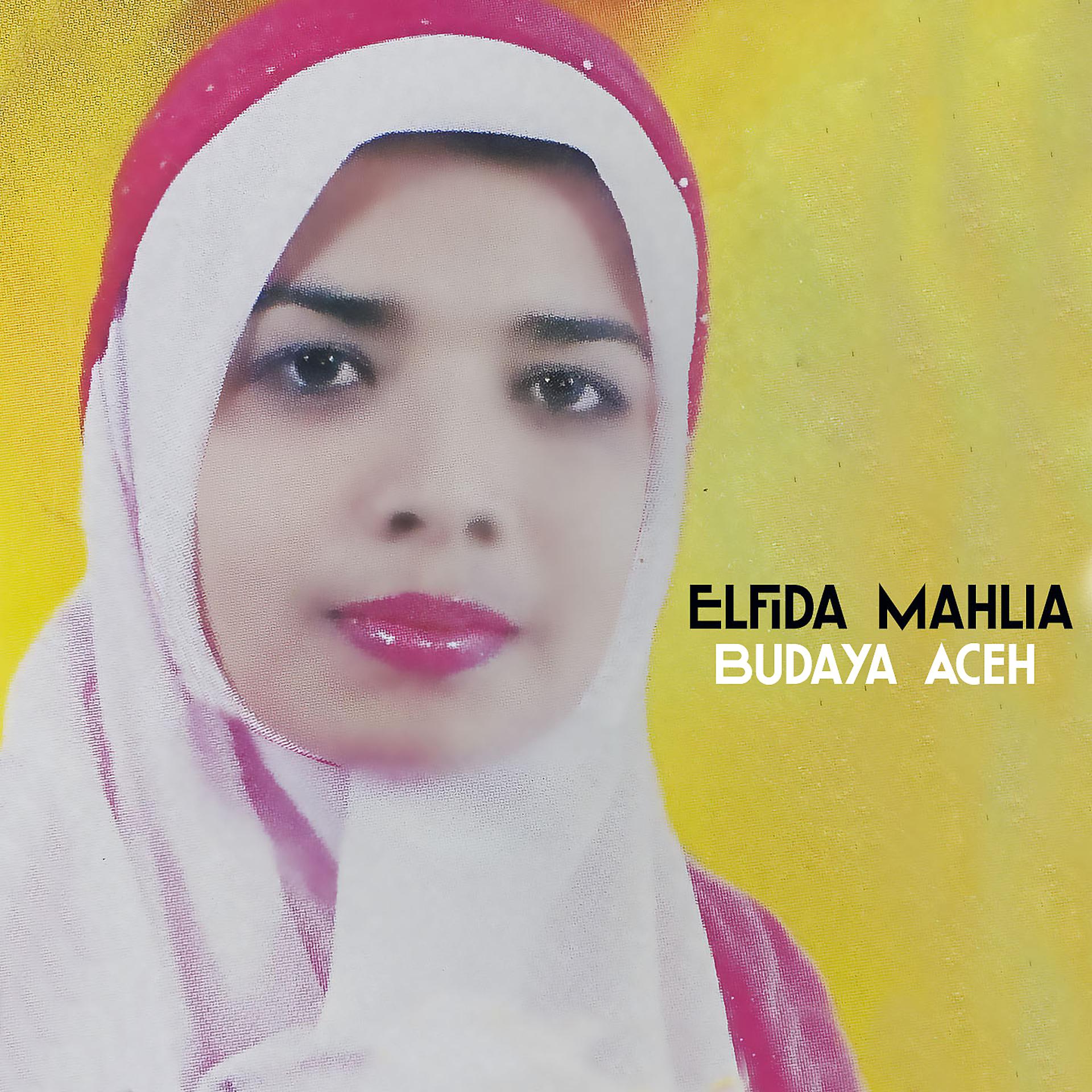 Постер альбома Budaya Aceh