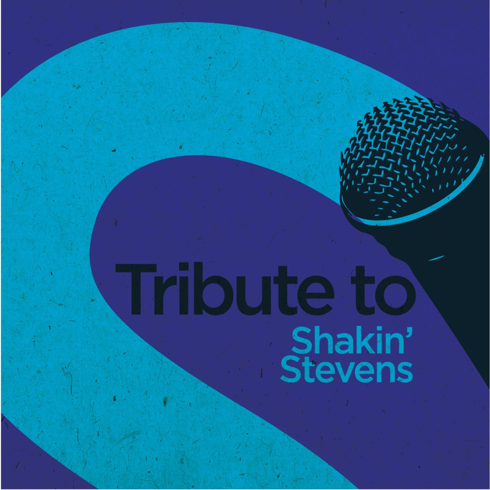 Постер альбома Tribute to Shakin' Stevens
