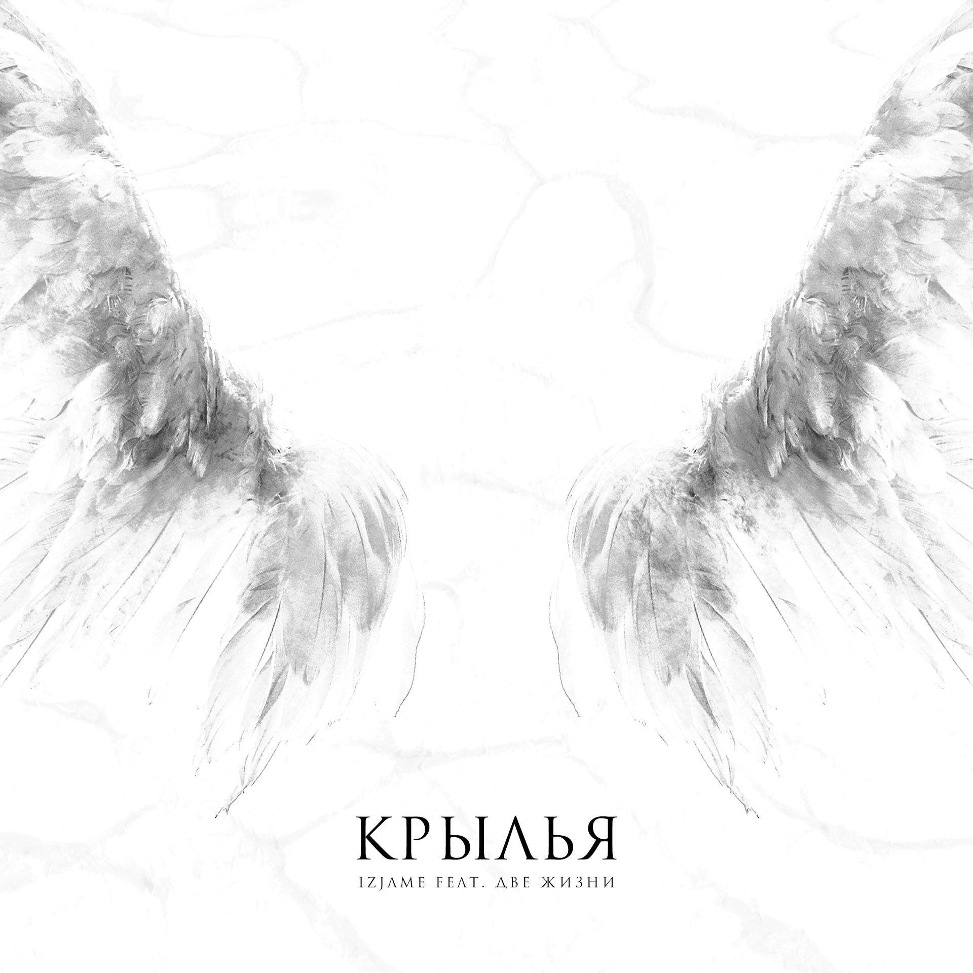 Постер альбома Крылья (feat. Две Жизни)