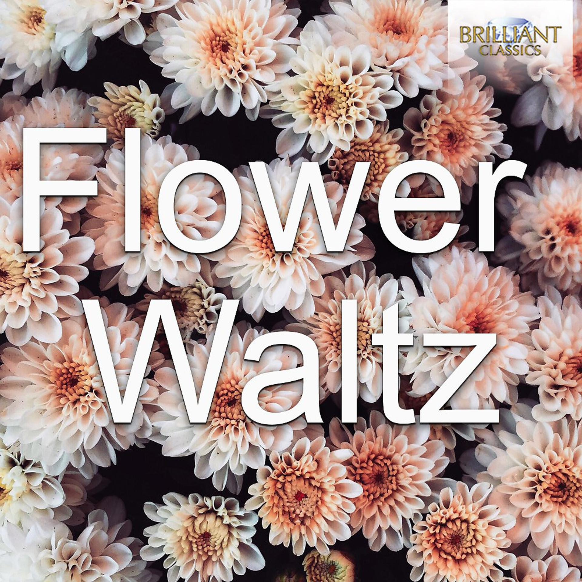Постер альбома Flower Waltz