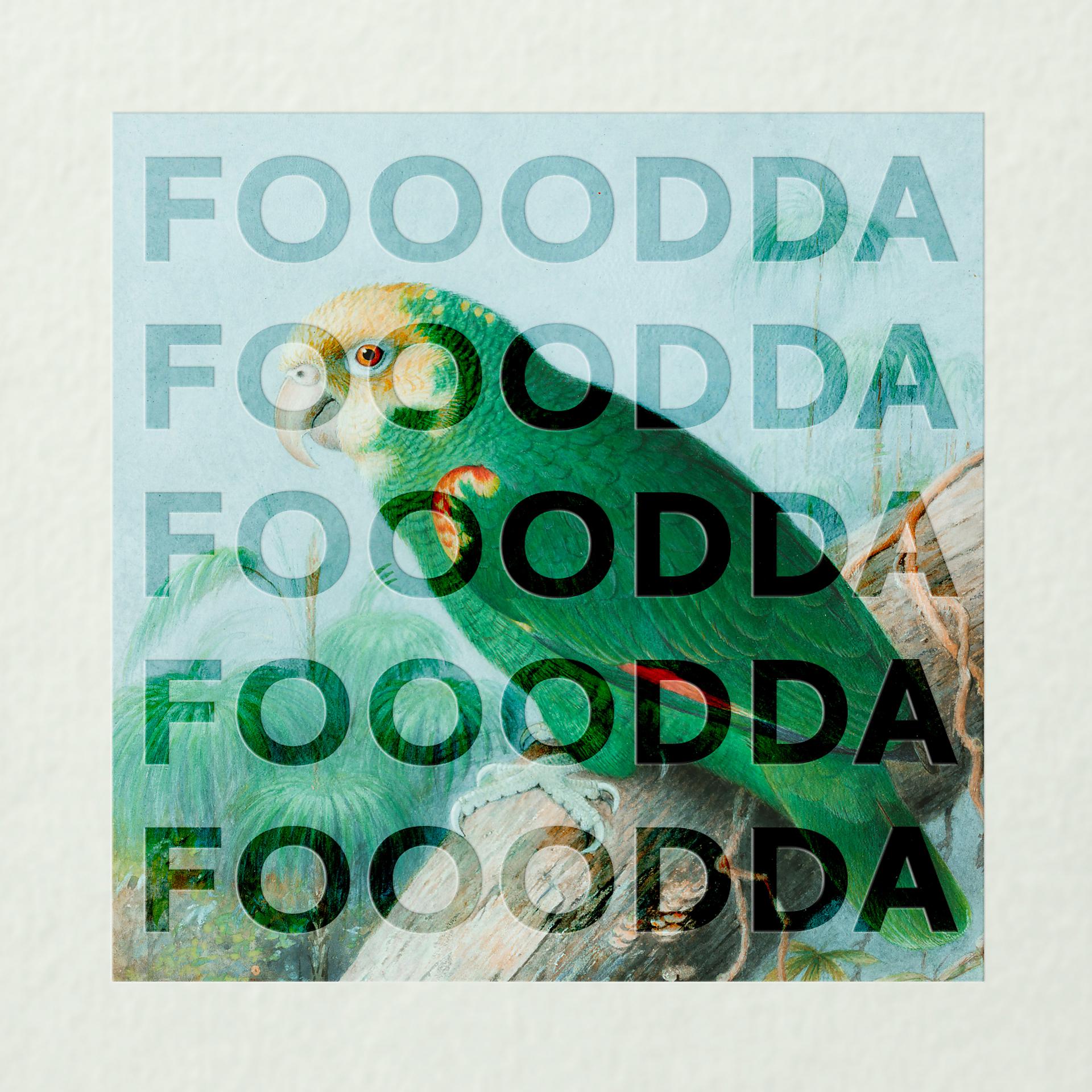 Постер альбома FOOODDA