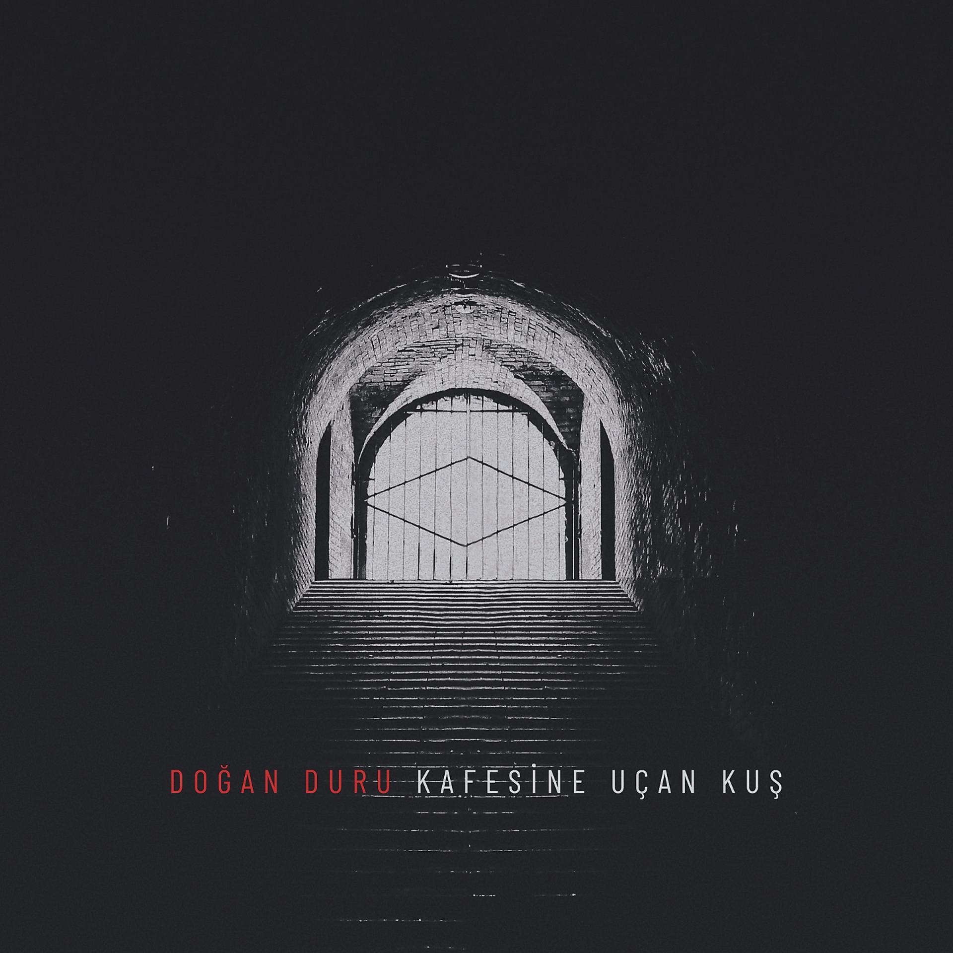 Постер альбома Kafesine Uçan Kuş