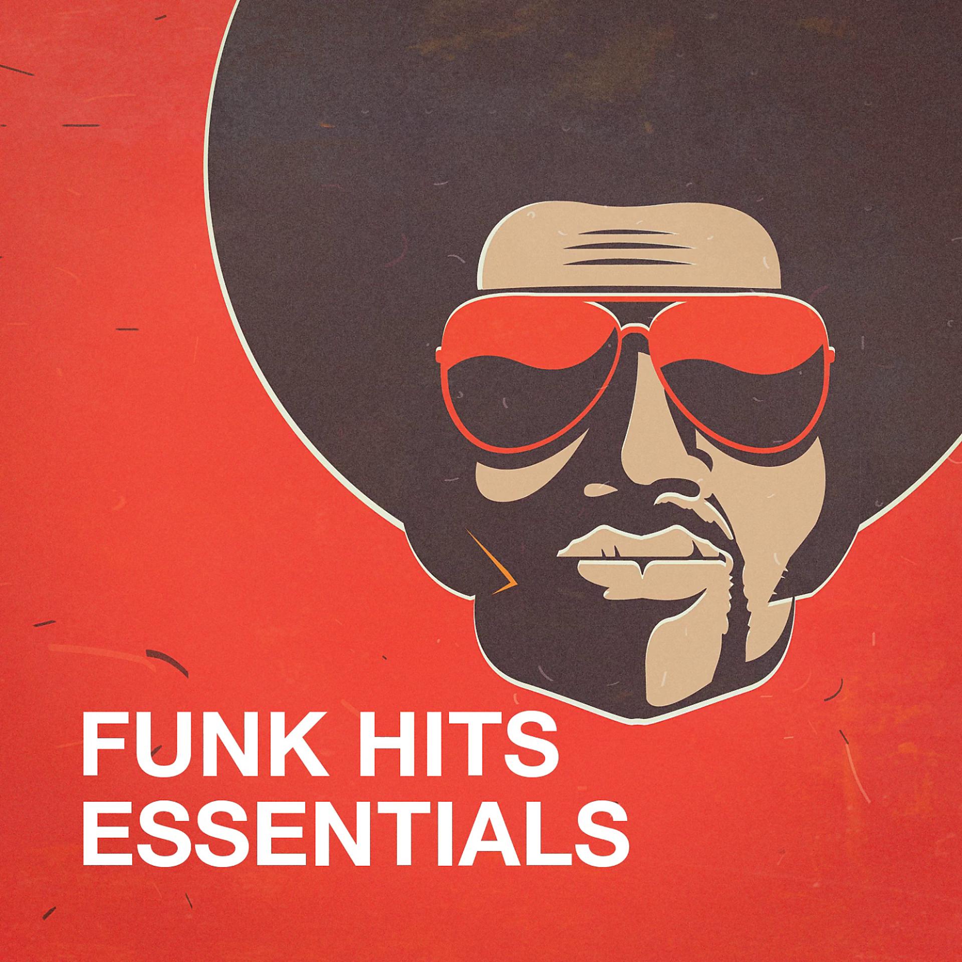 Постер альбома Funk Hits Essentials