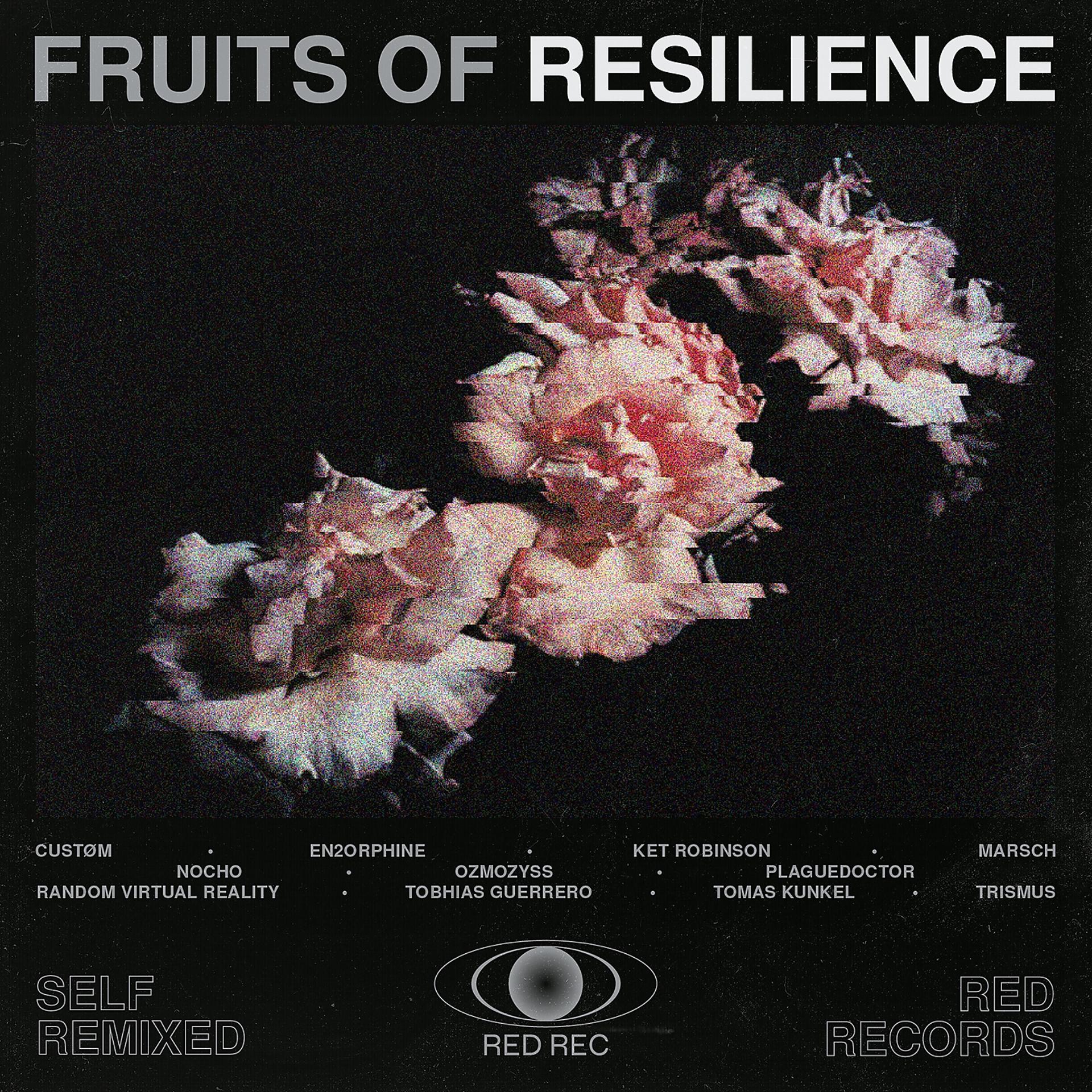 Постер альбома Fruits Of Resilience