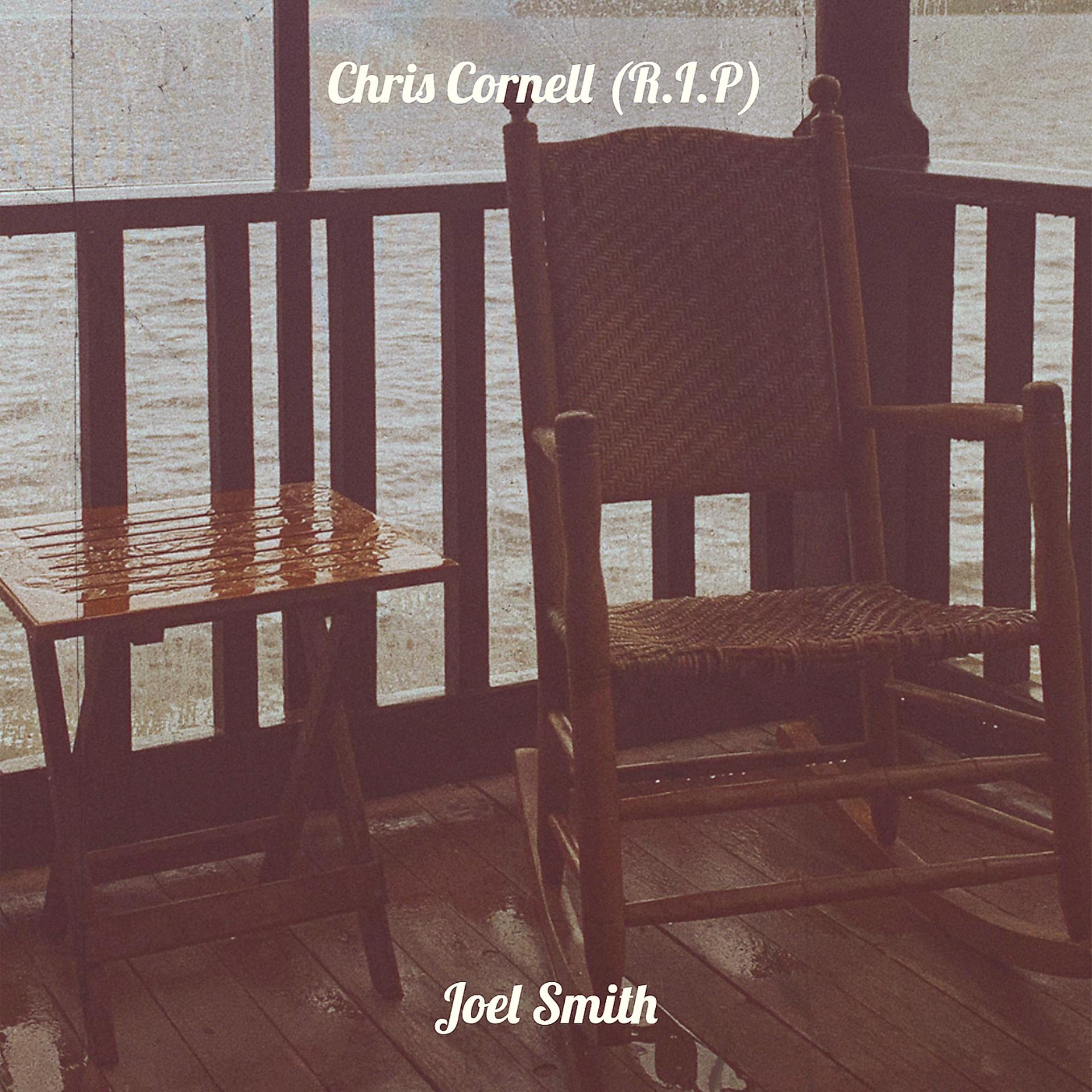 Постер альбома Chris Cornell (R.I.P)