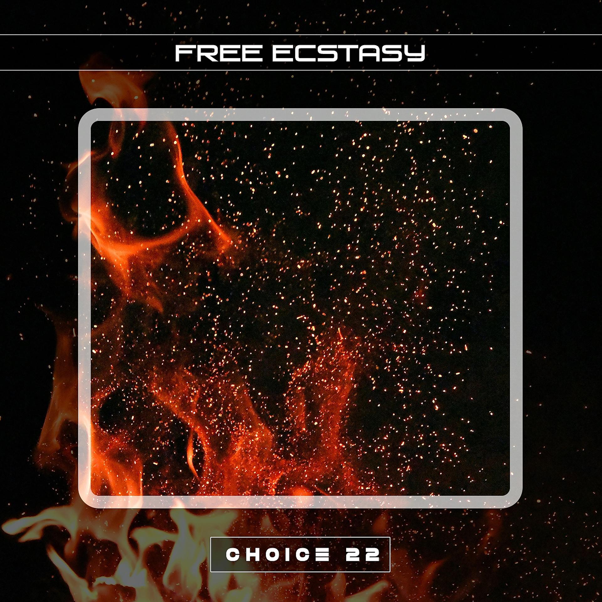Постер альбома Free Ecstasy Choice 22
