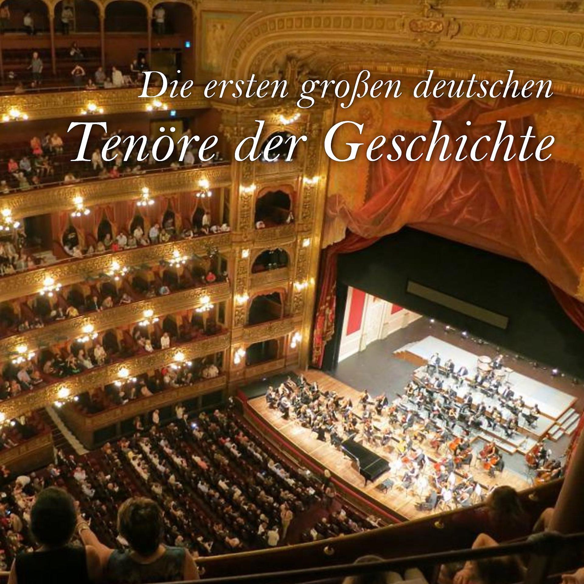Постер альбома Die ersten großen deutschen Tenöre der Geschichte - Varios