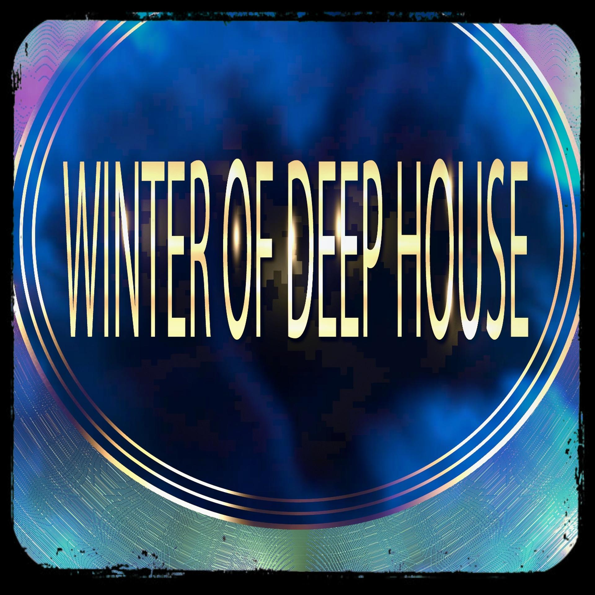 Постер альбома Winter of Deep House (50 Essential Dance Songs from Ibiza & Miami Opening Party 2015)