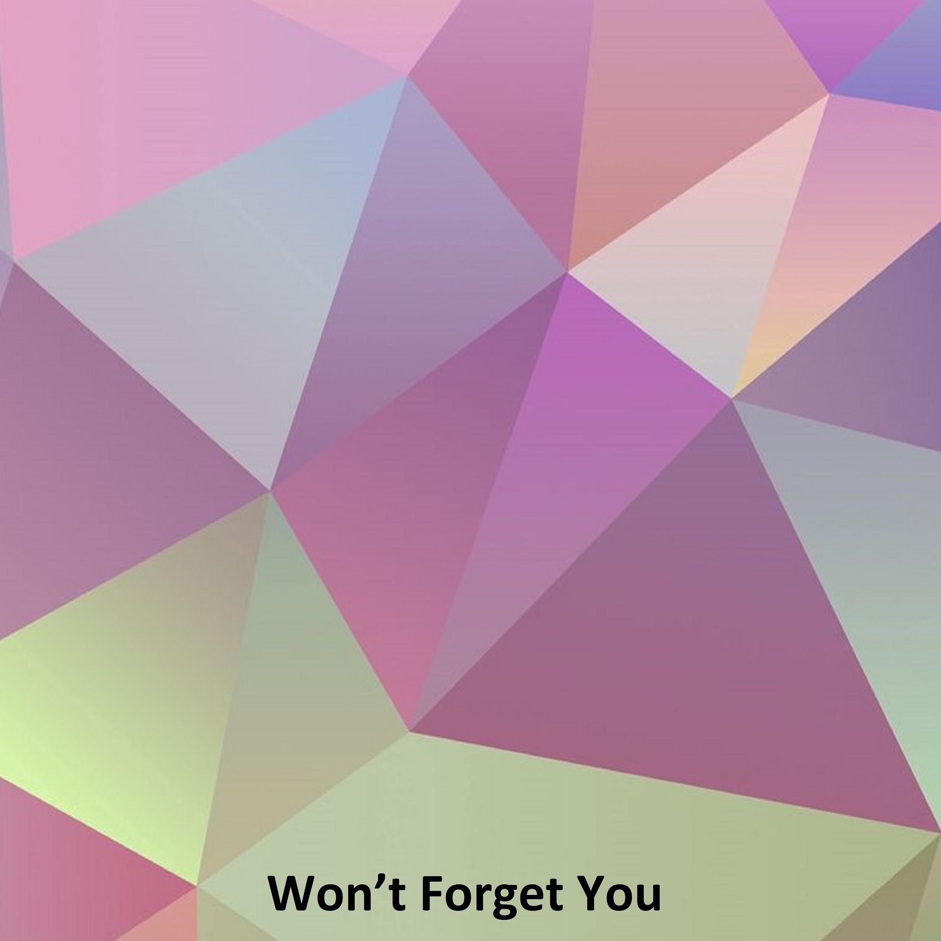 Постер альбома Won’t Forget You