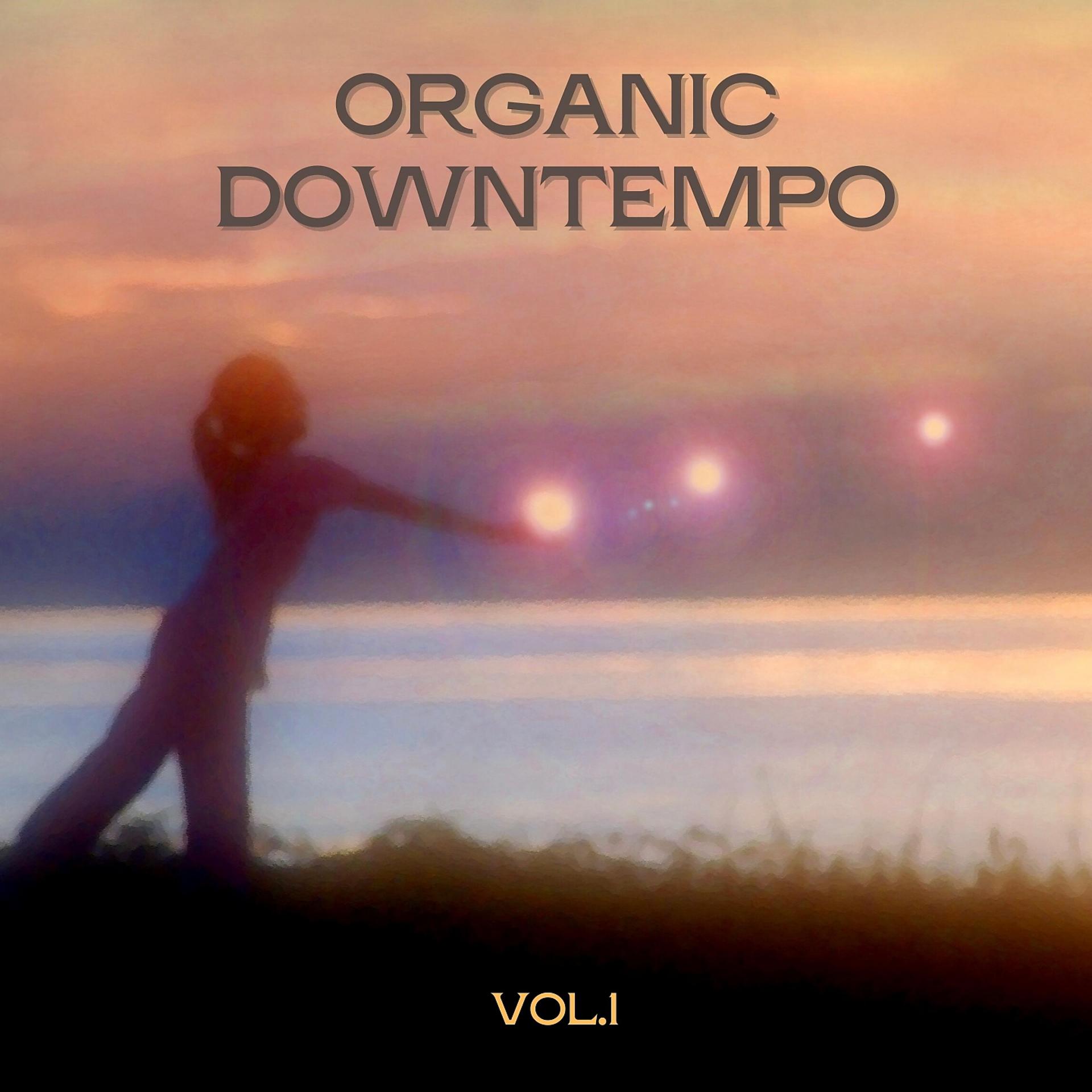 Постер альбома Organic Downtempo, Vol. 1