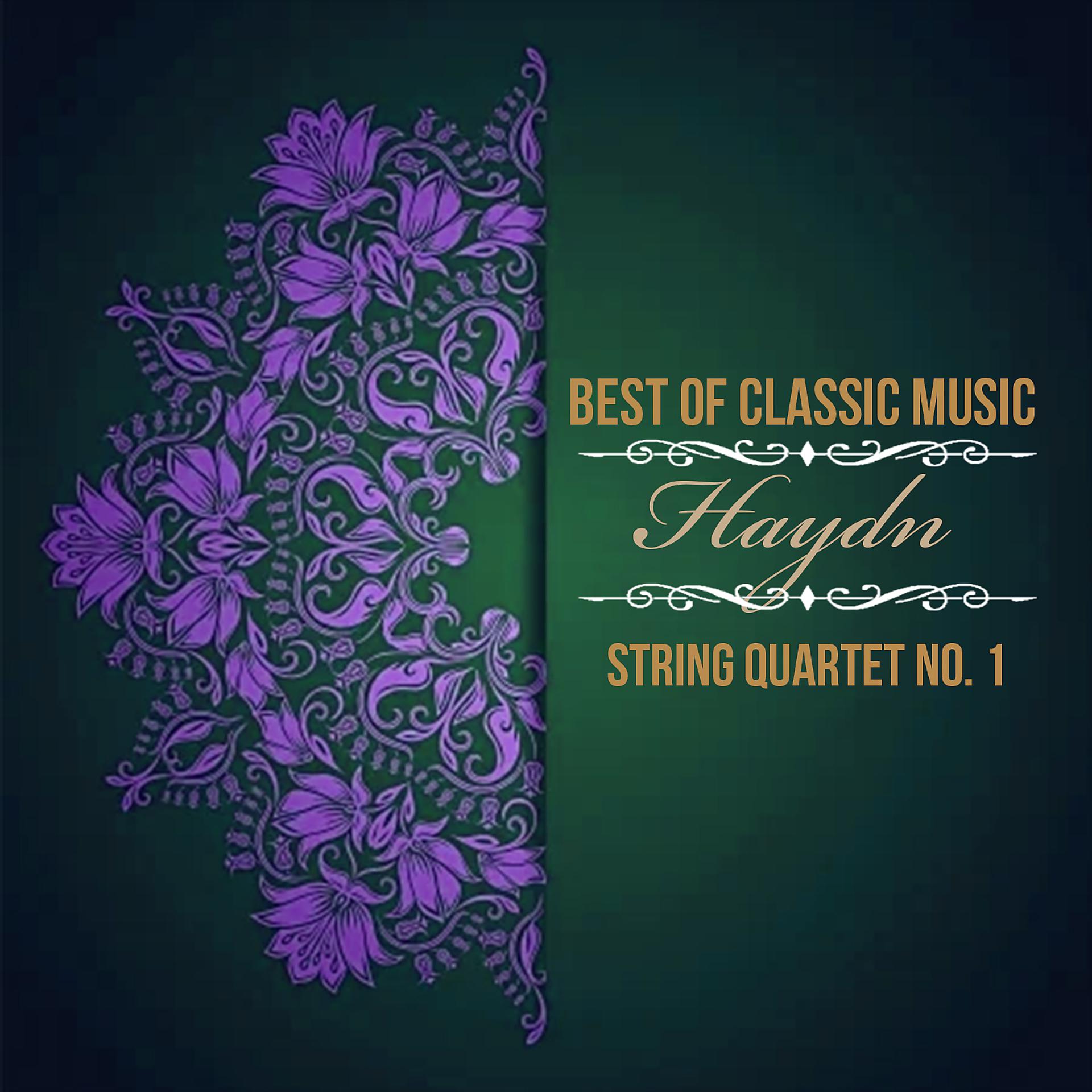 Постер альбома Best of Classic Music, Haydn - String Quartet No. 1