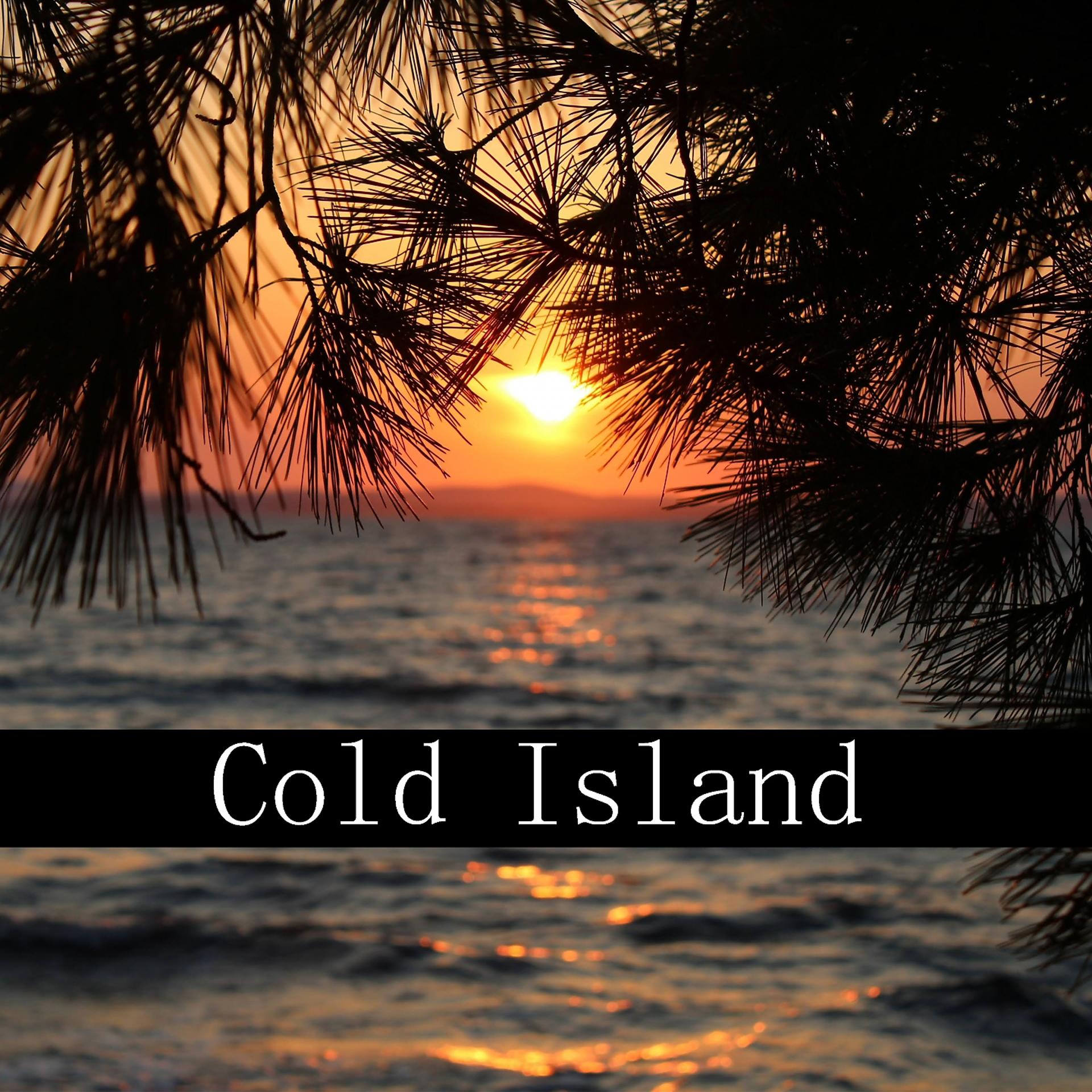 Постер альбома Cold Island