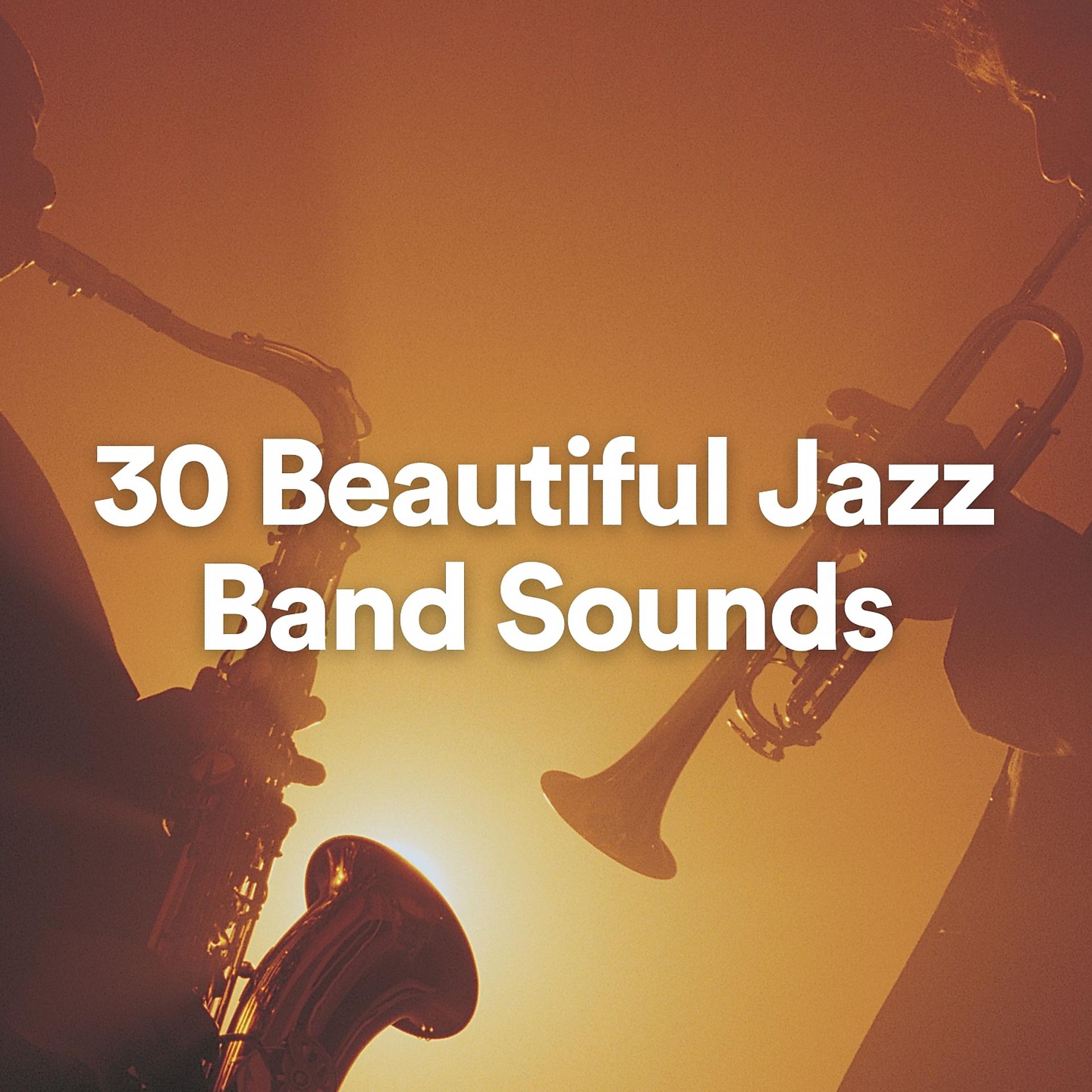 Постер альбома 30 Beautiful Jazz Band Sounds