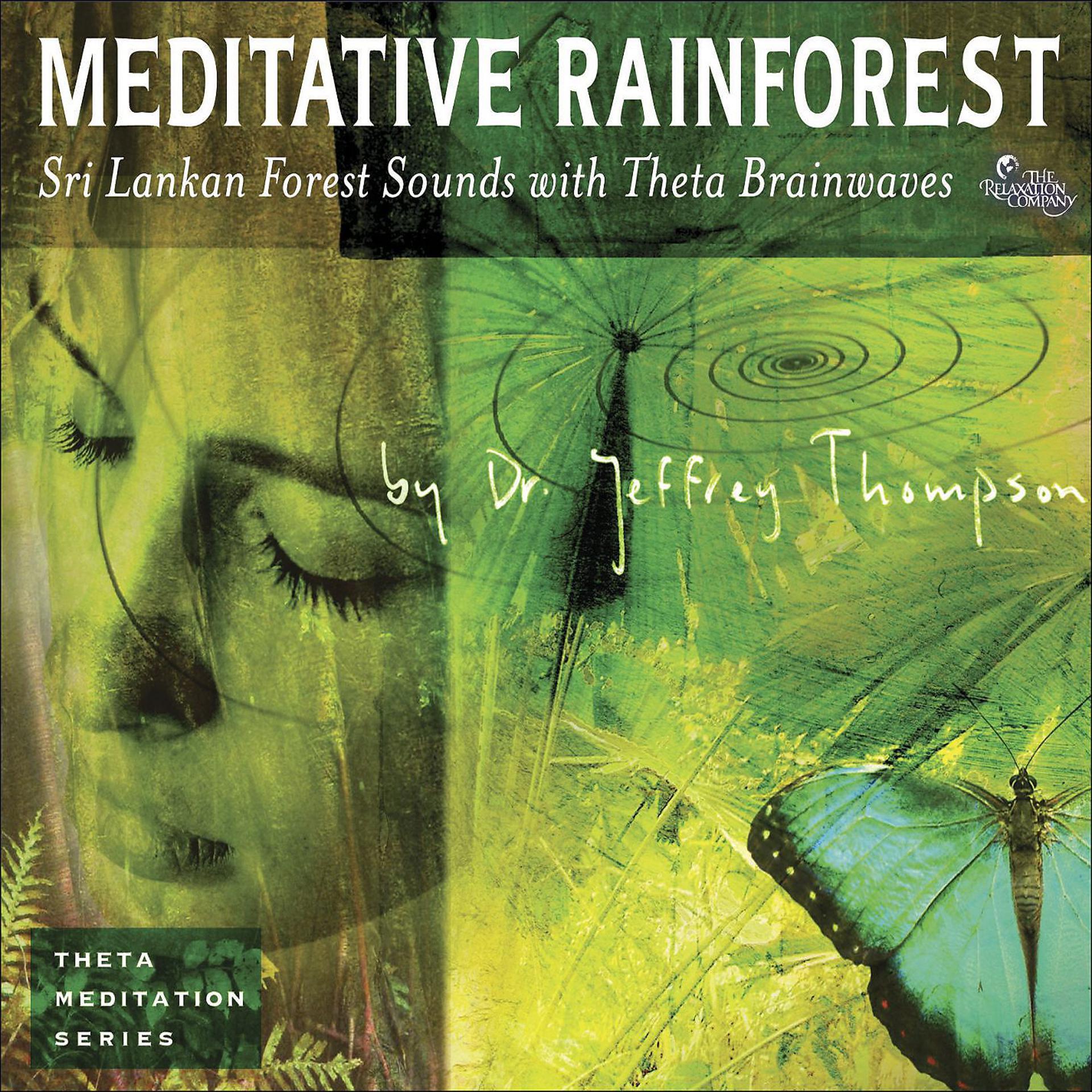 Постер альбома Meditative Rainforest