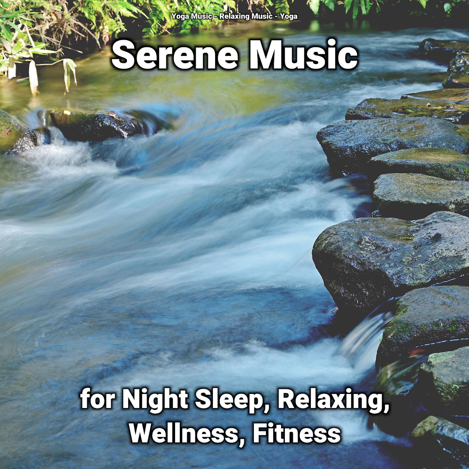 Постер альбома Serene Music for Night Sleep, Relaxing, Wellness, Fitness