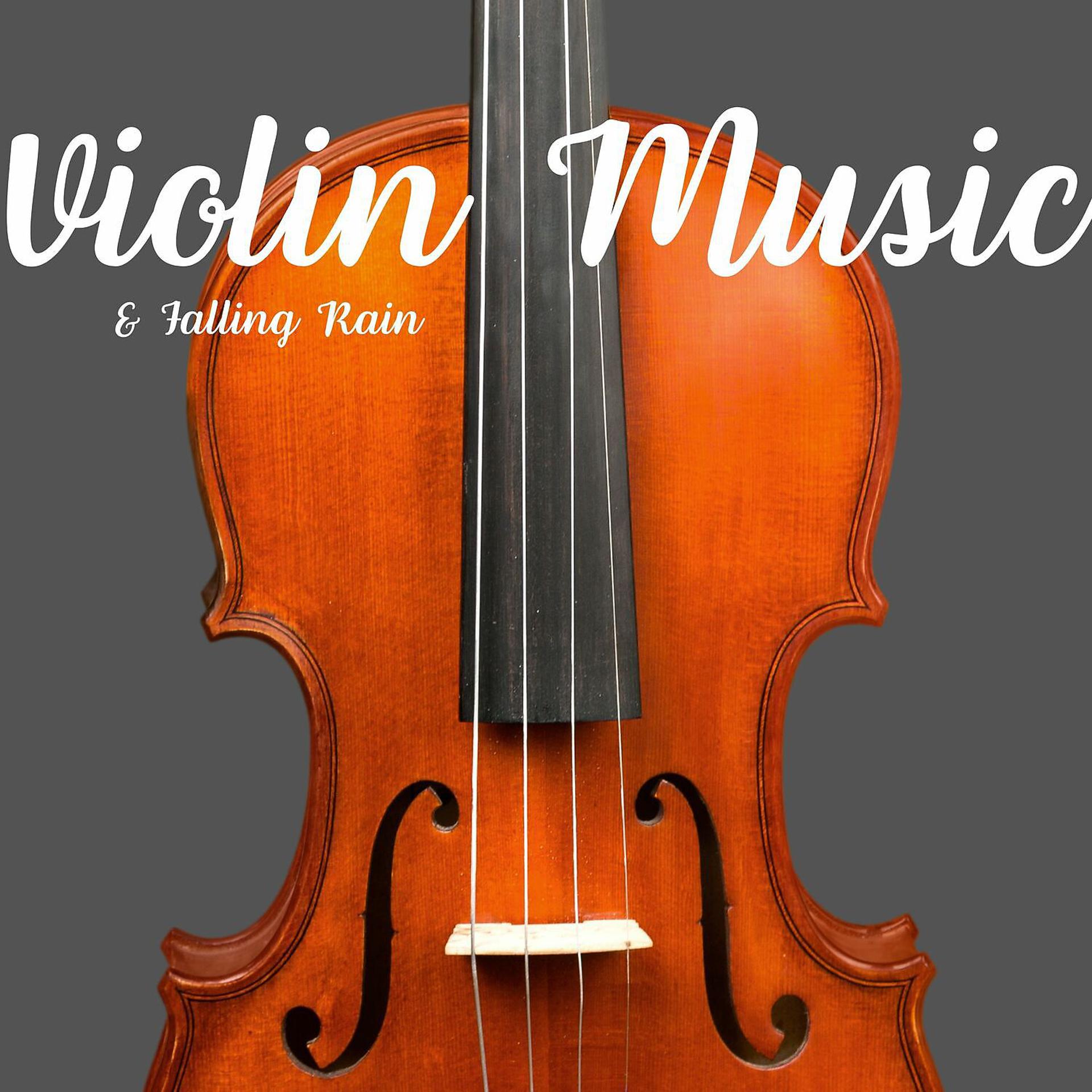 Постер альбома Violin Music & Falling Rain
