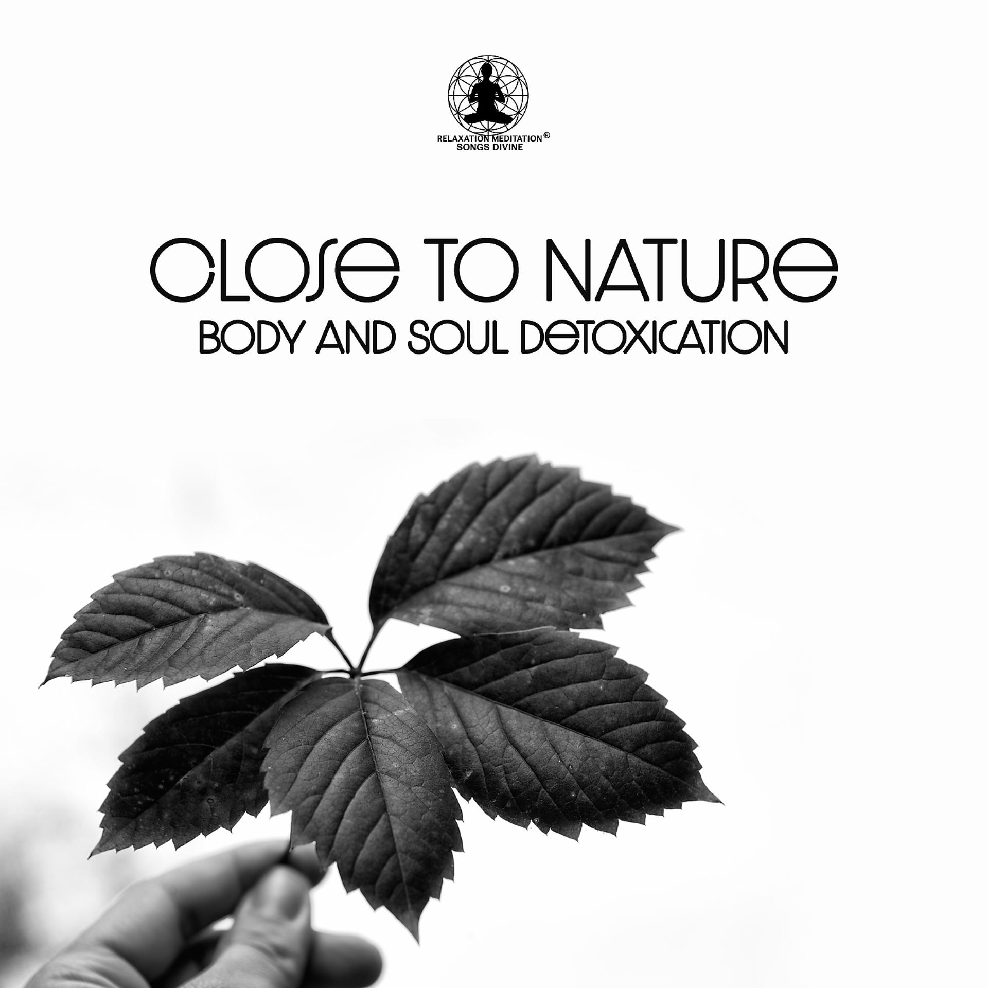 Постер альбома Close to Nature: Body and Soul Detoxication