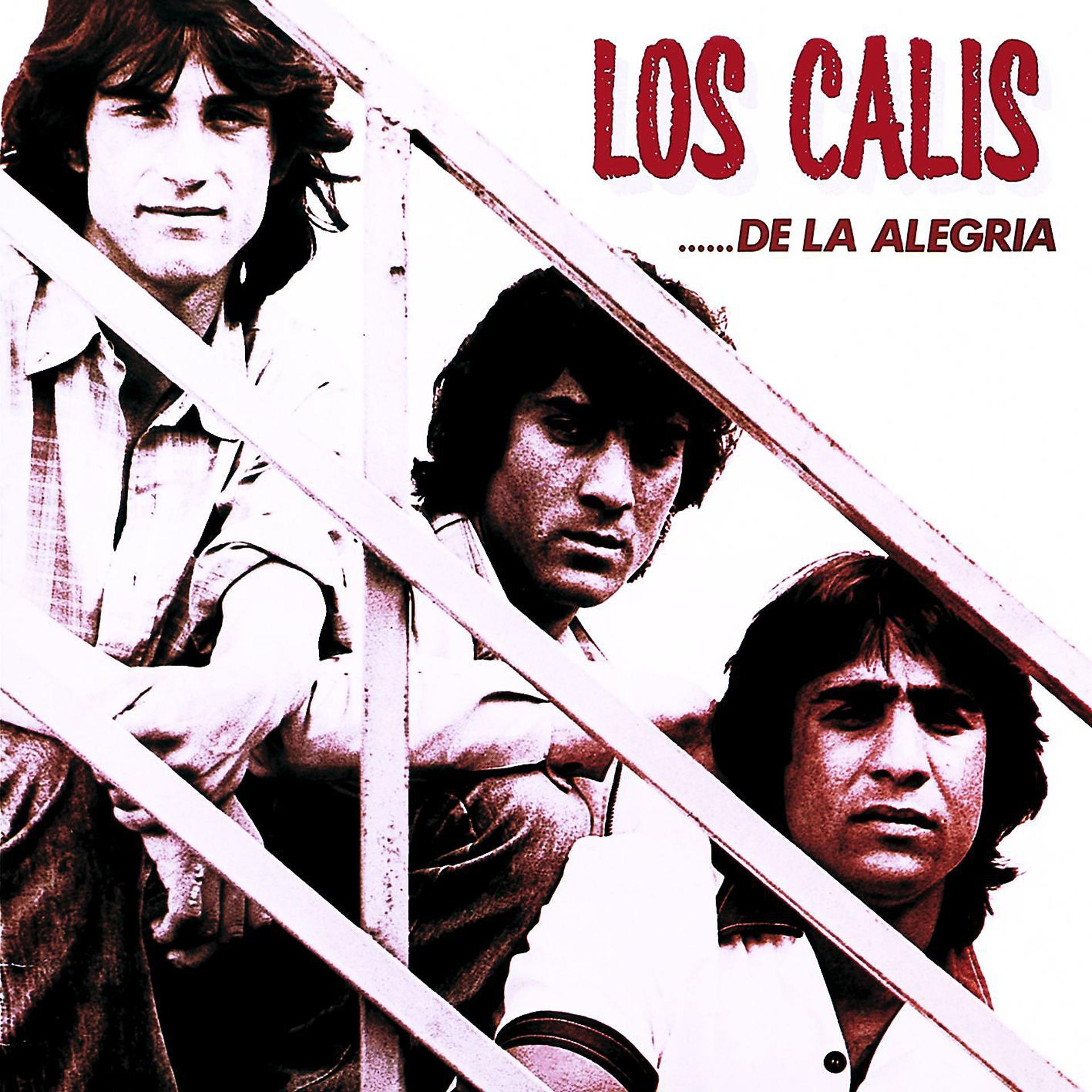 Постер альбома De la Alegria
