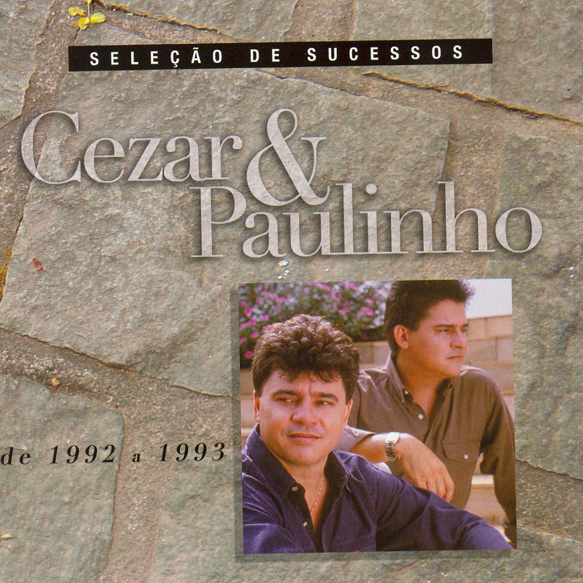 Постер альбома Seleção de Sucessos - 1992 / 1993