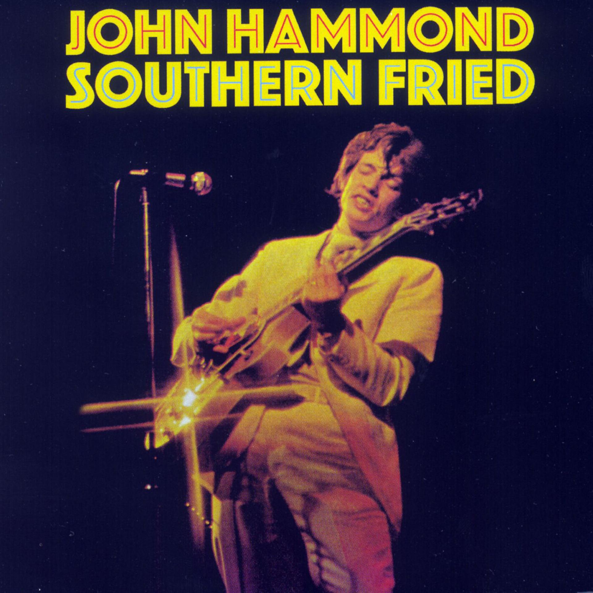 Постер альбома Southern Fried