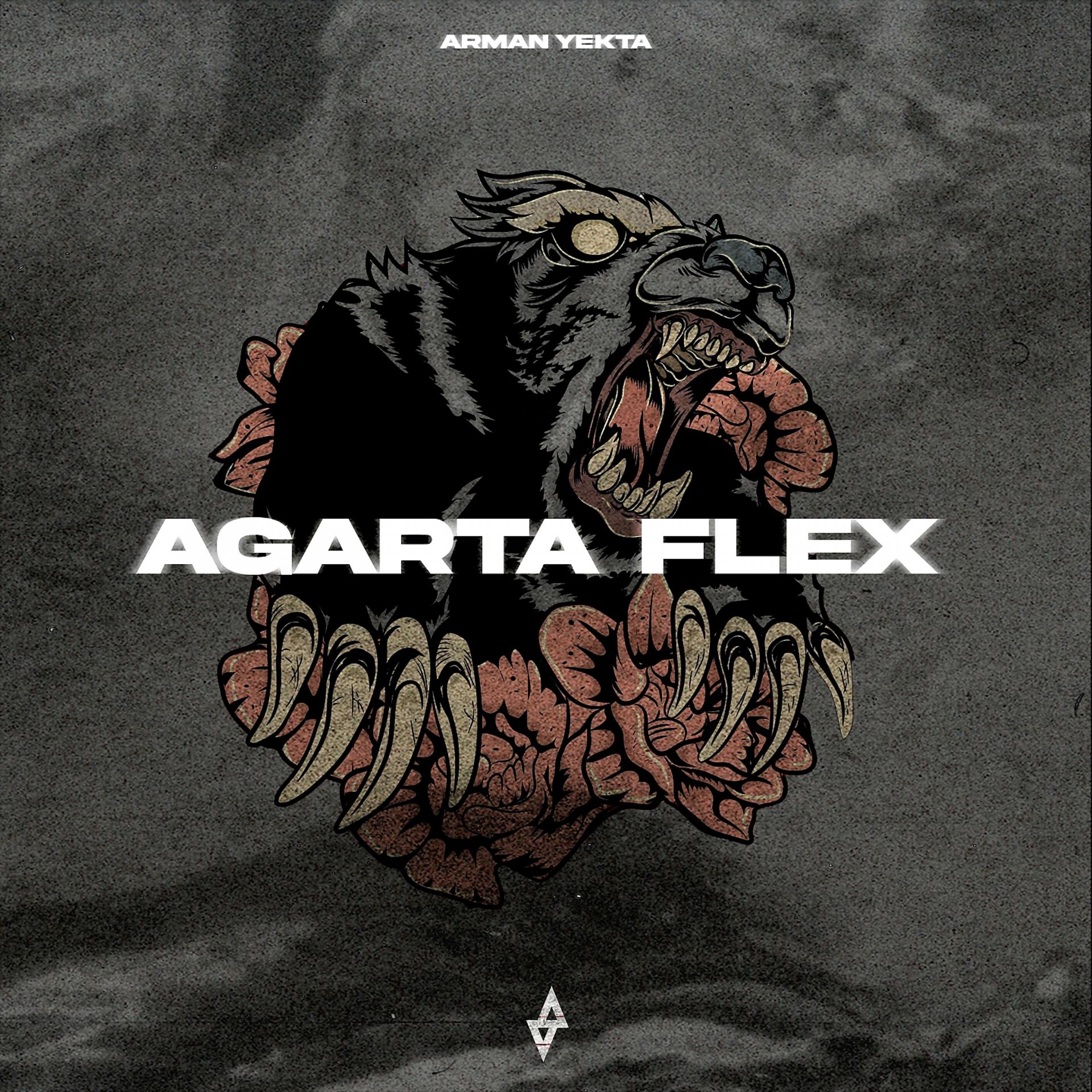 Постер альбома AGARTA FLEX