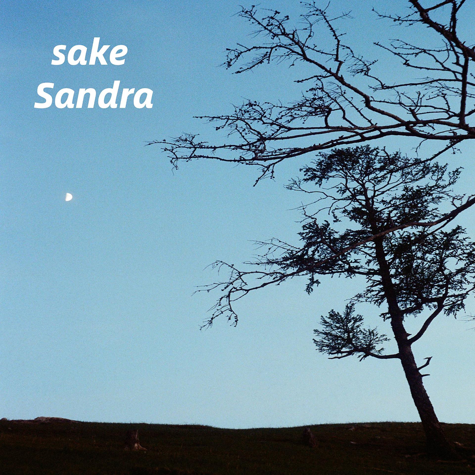 Постер альбома sake