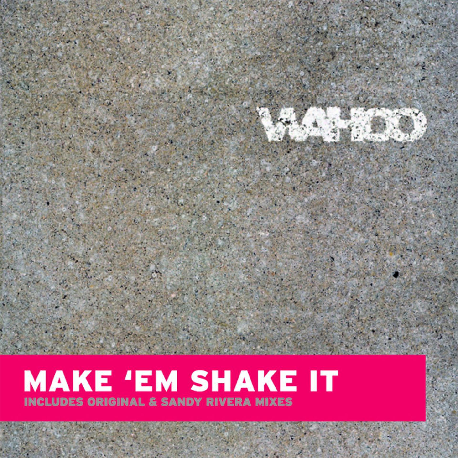Постер альбома Make Em' Shake It