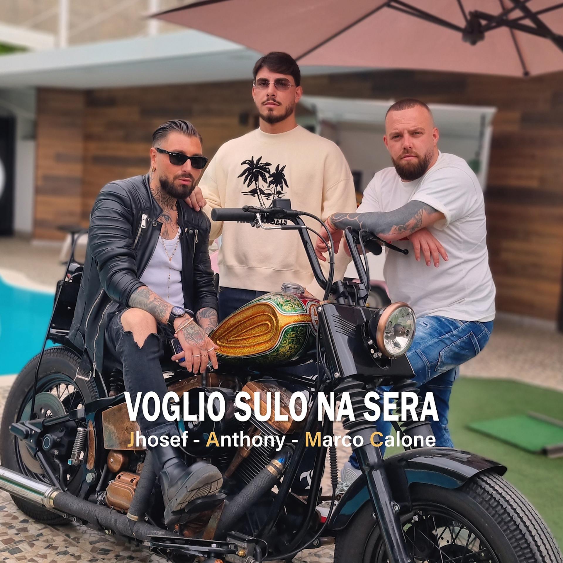 Постер альбома Voglio Sulo Na Sera