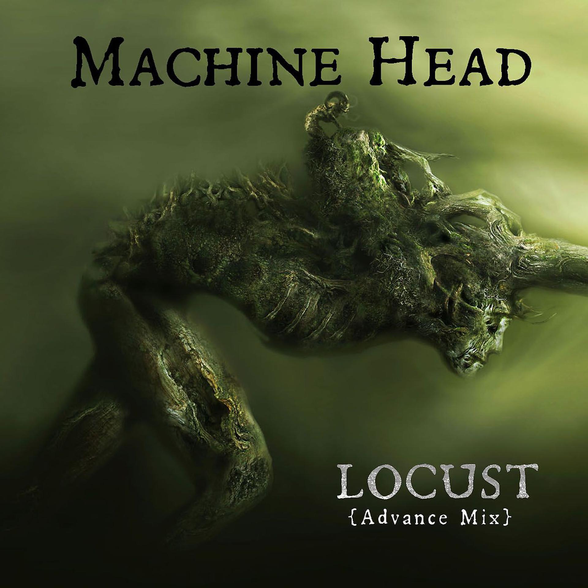 Постер альбома Locust (Advance Mix)