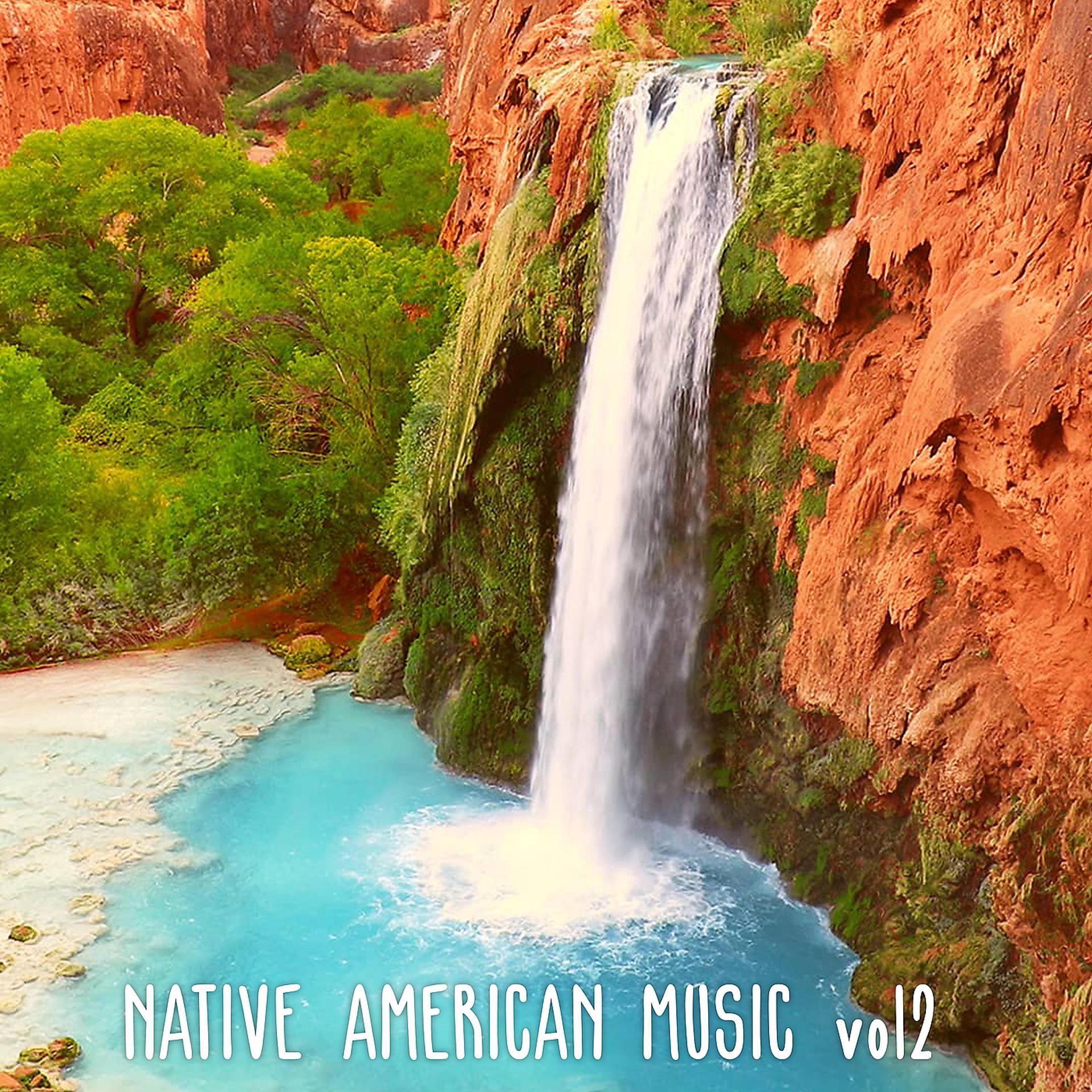 Постер альбома Native American Music Vol2