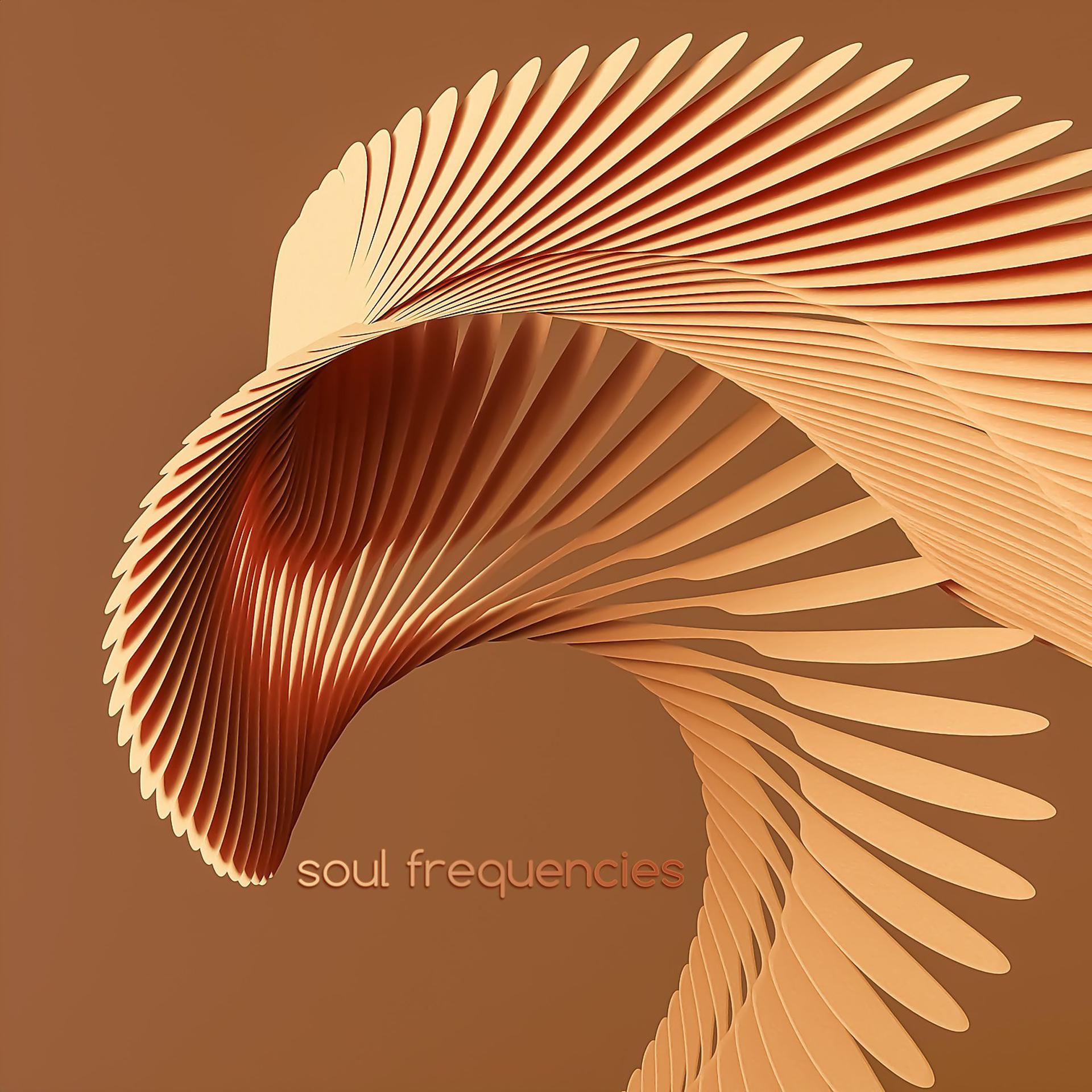 Постер альбома Soul Frequencies