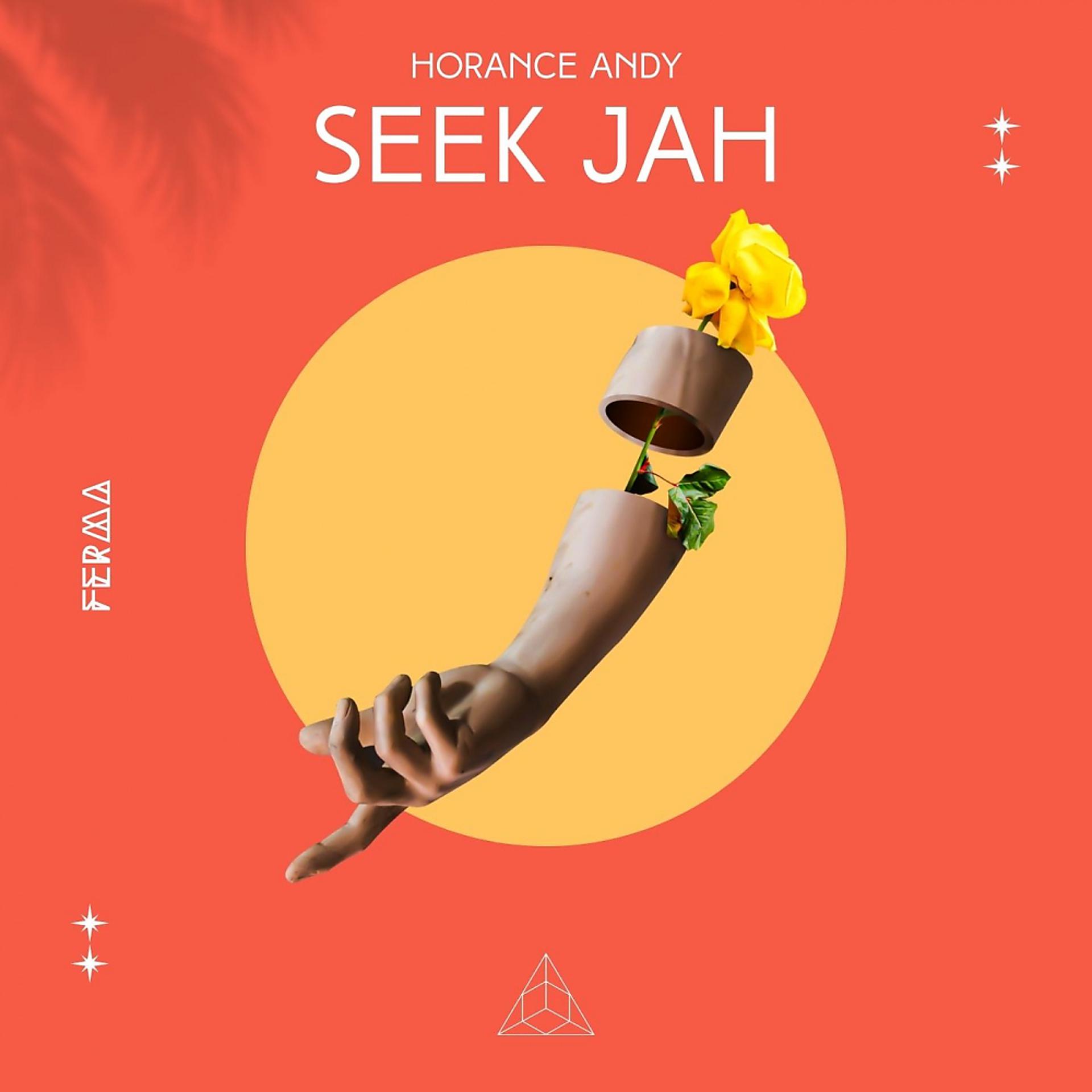 Постер альбома Seek Jah