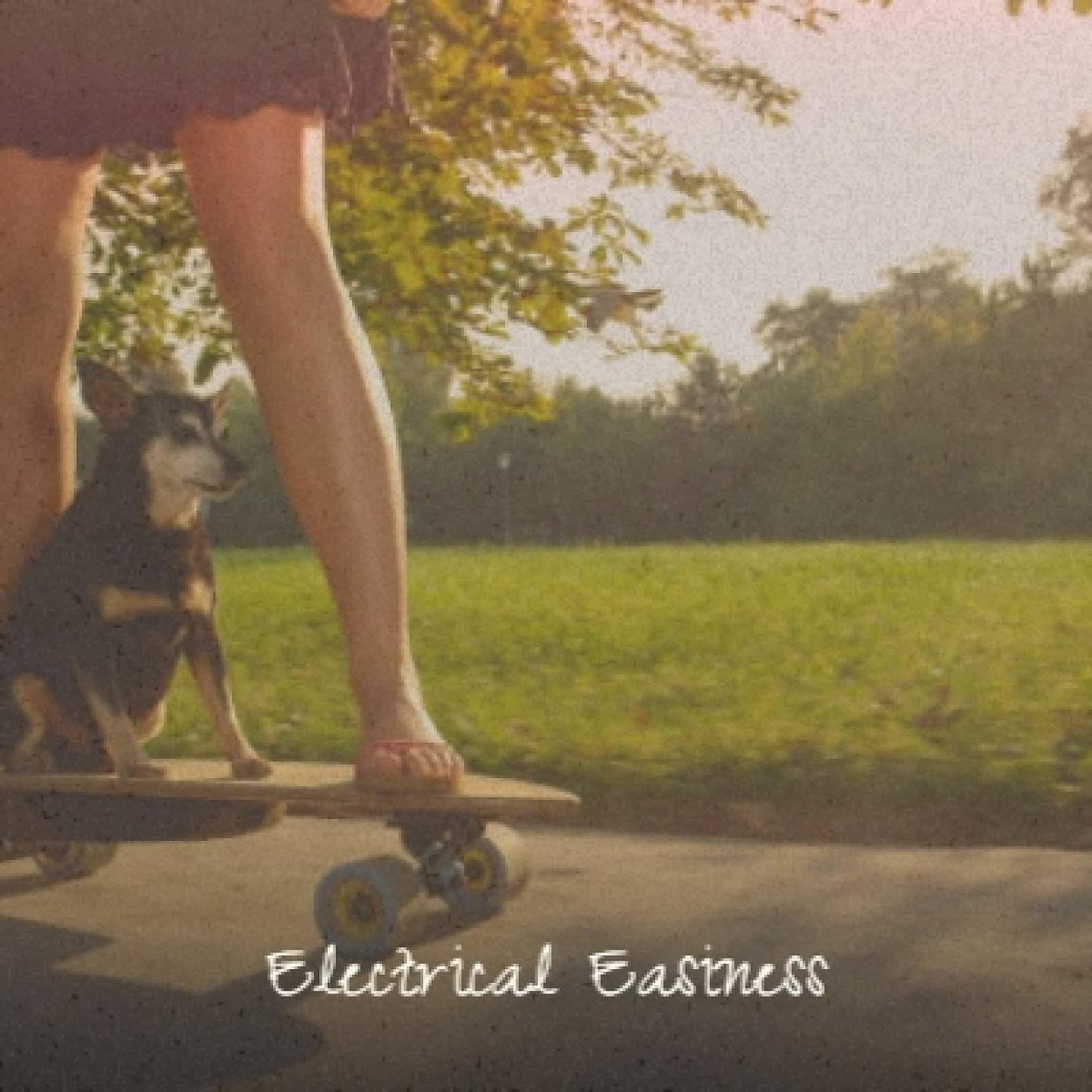 Постер альбома Electrical Easiness