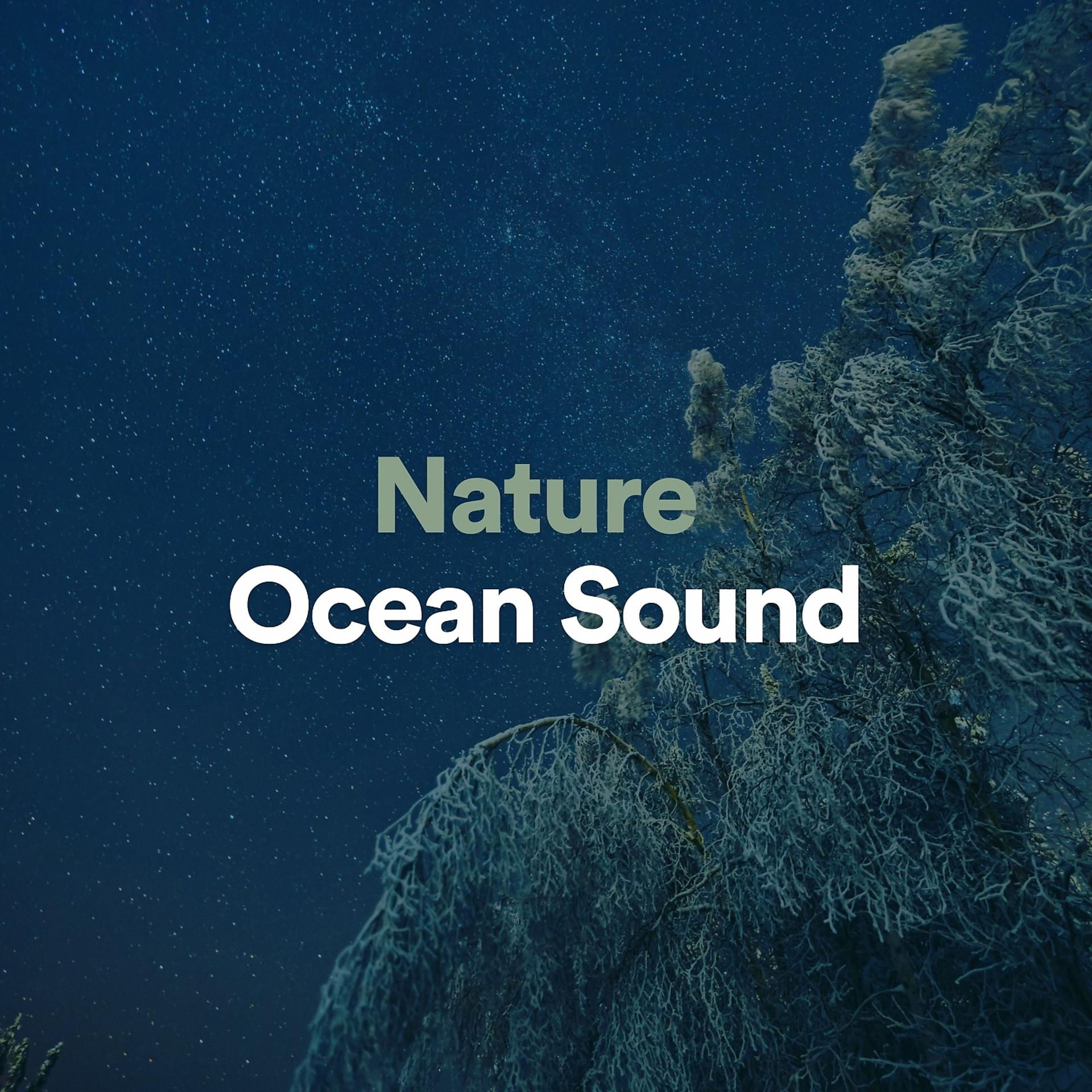 Постер альбома Nature Ocean Sound