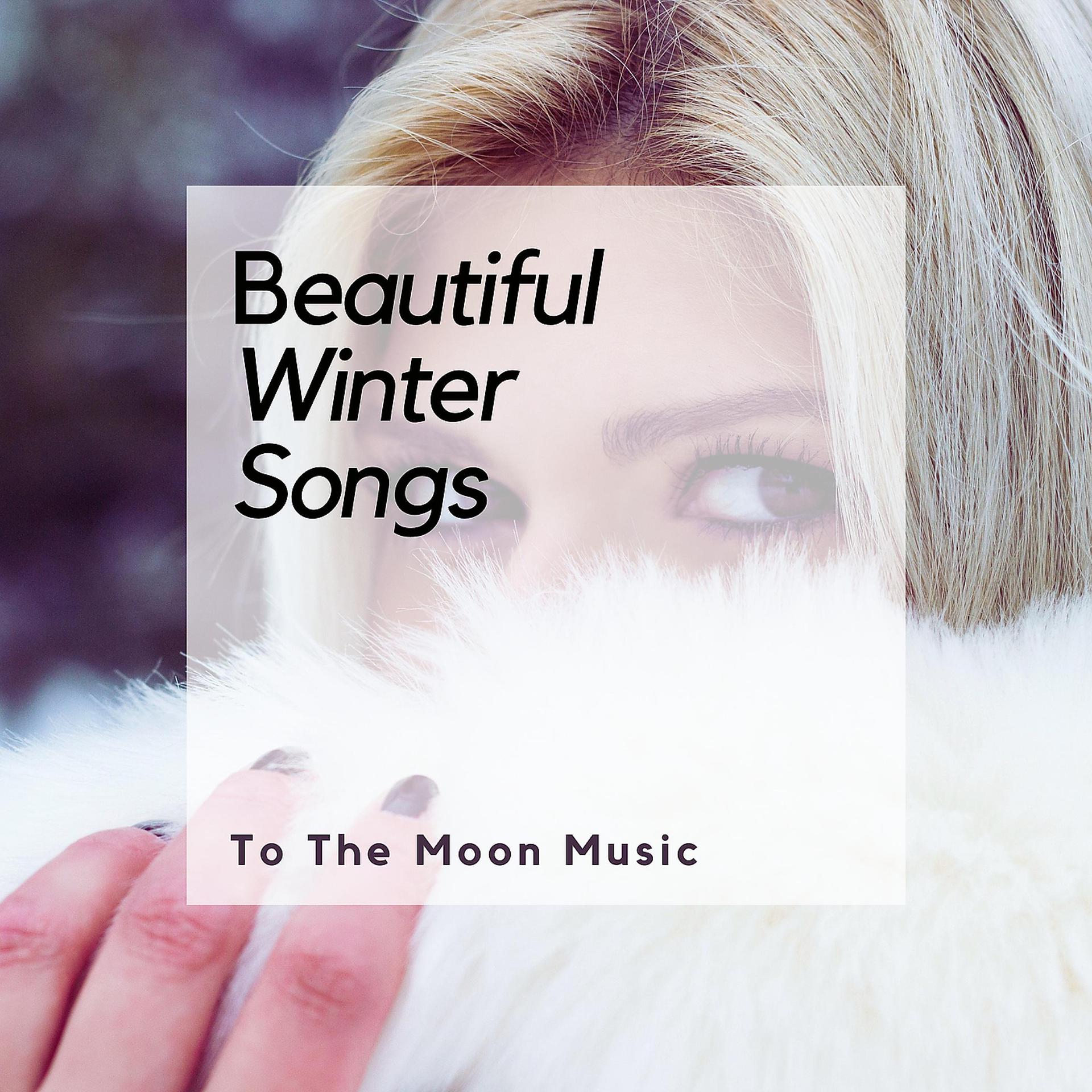 Постер альбома Beautiful Winter Songs