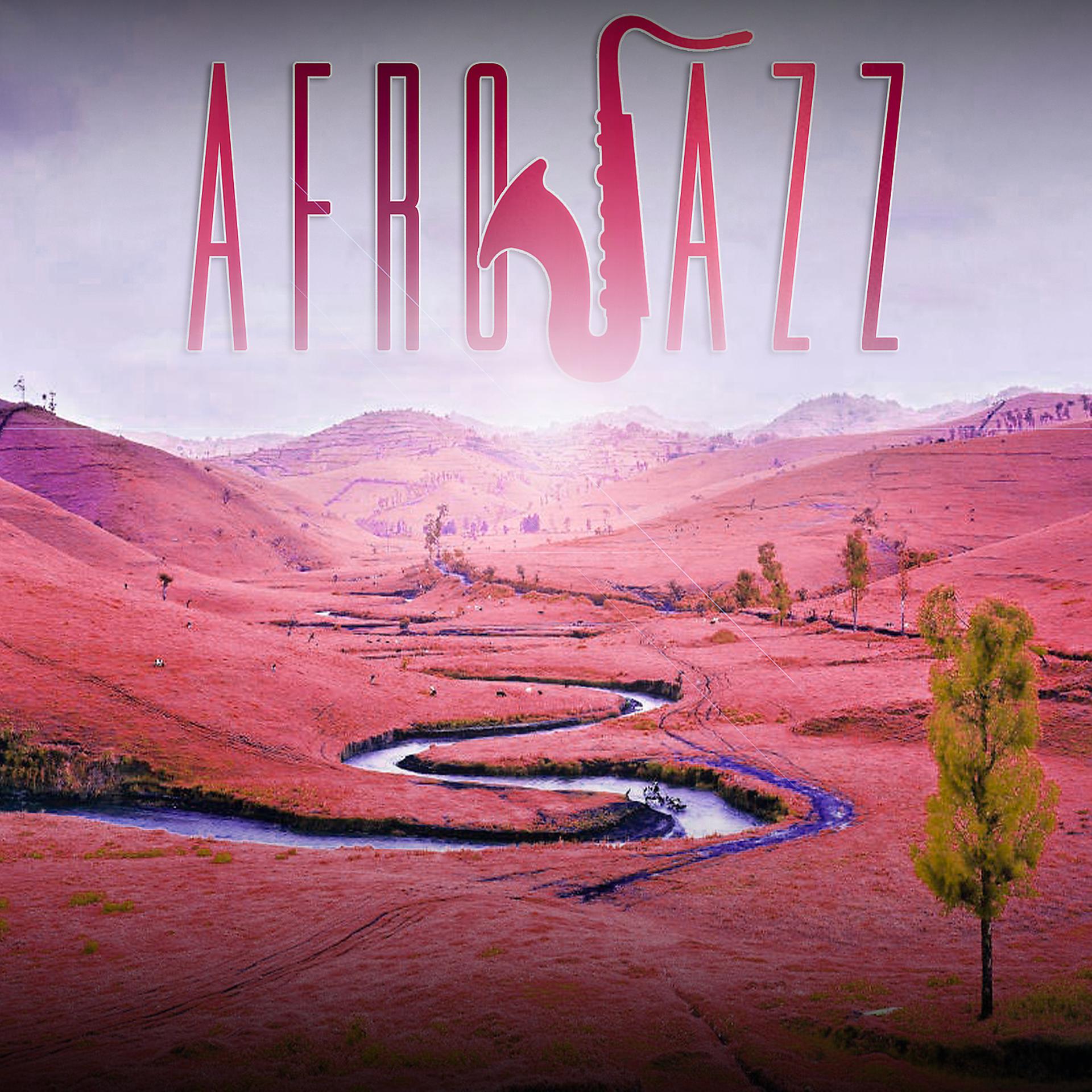 Постер альбома Afrojazz