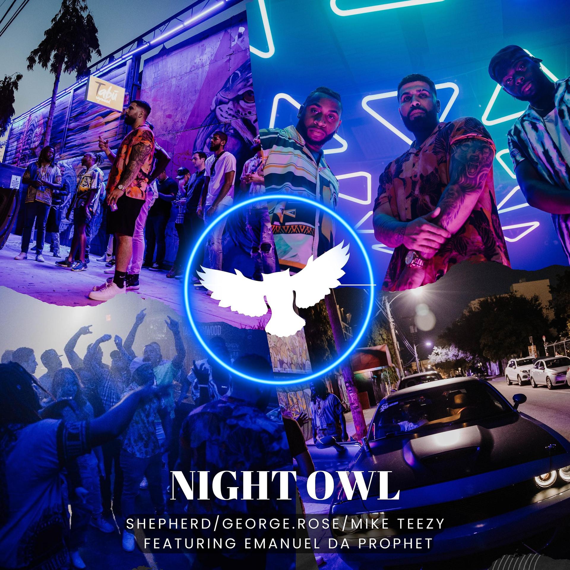 Постер альбома Night Owl (feat. EmanuelDaProphet)