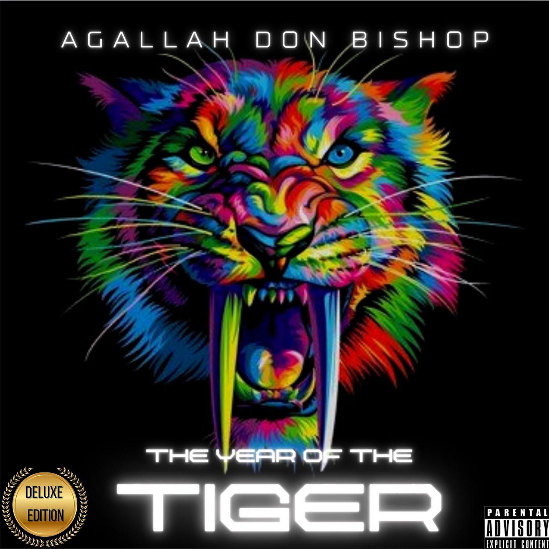 Постер альбома The Year Of The Tiger (Deluxe Version)