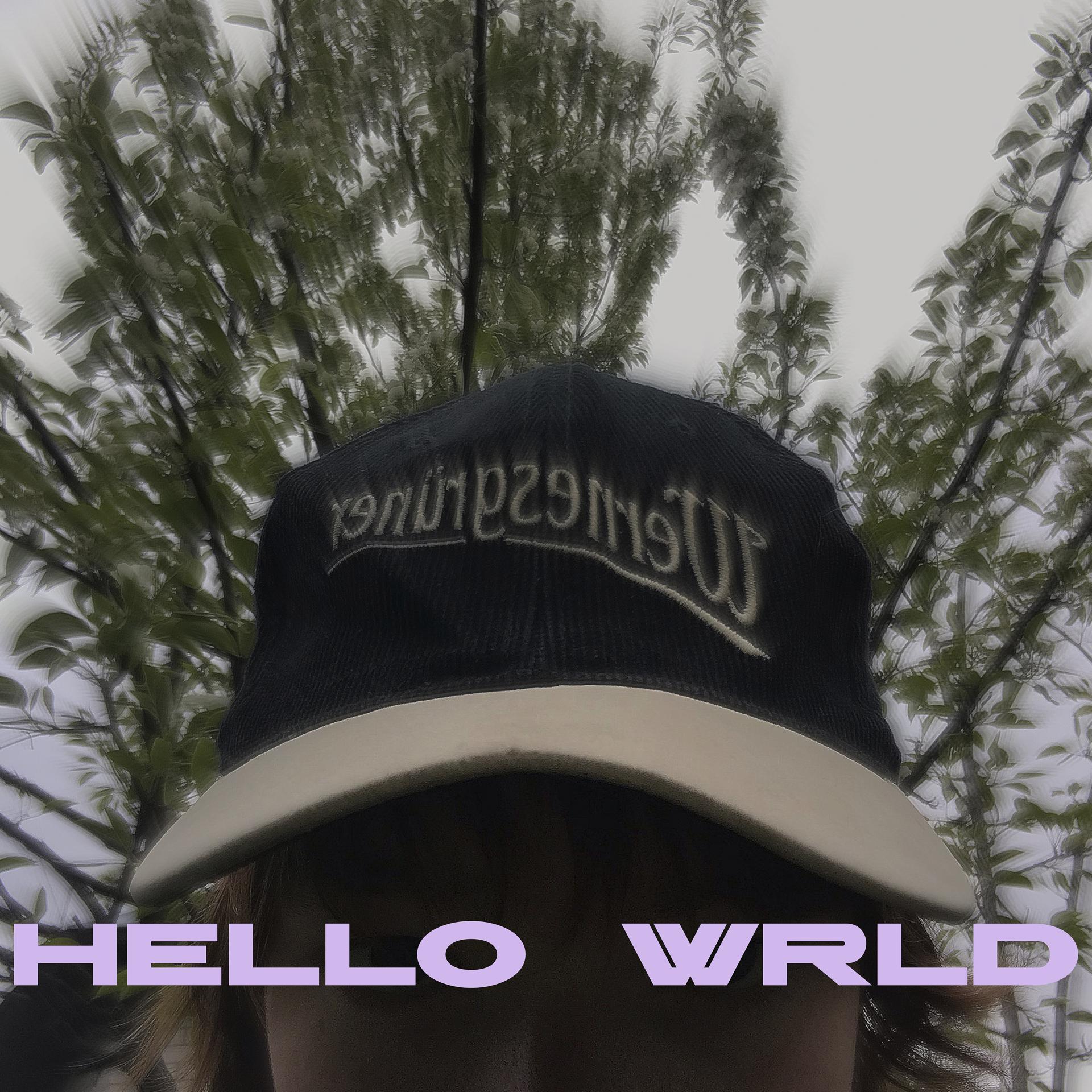 Постер альбома Hello Wrld