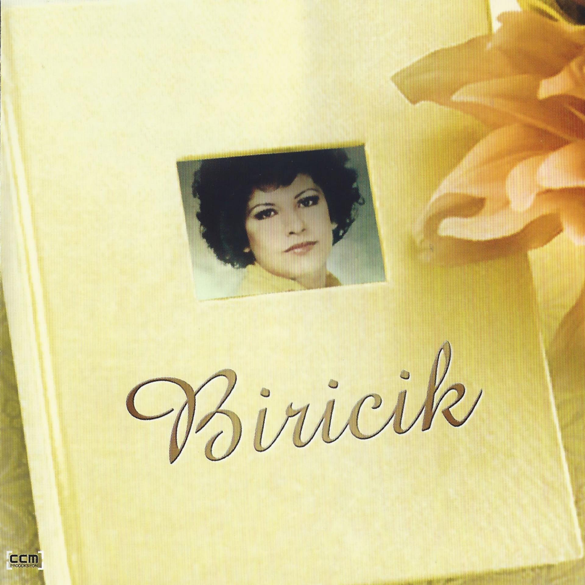 Постер альбома Biricik